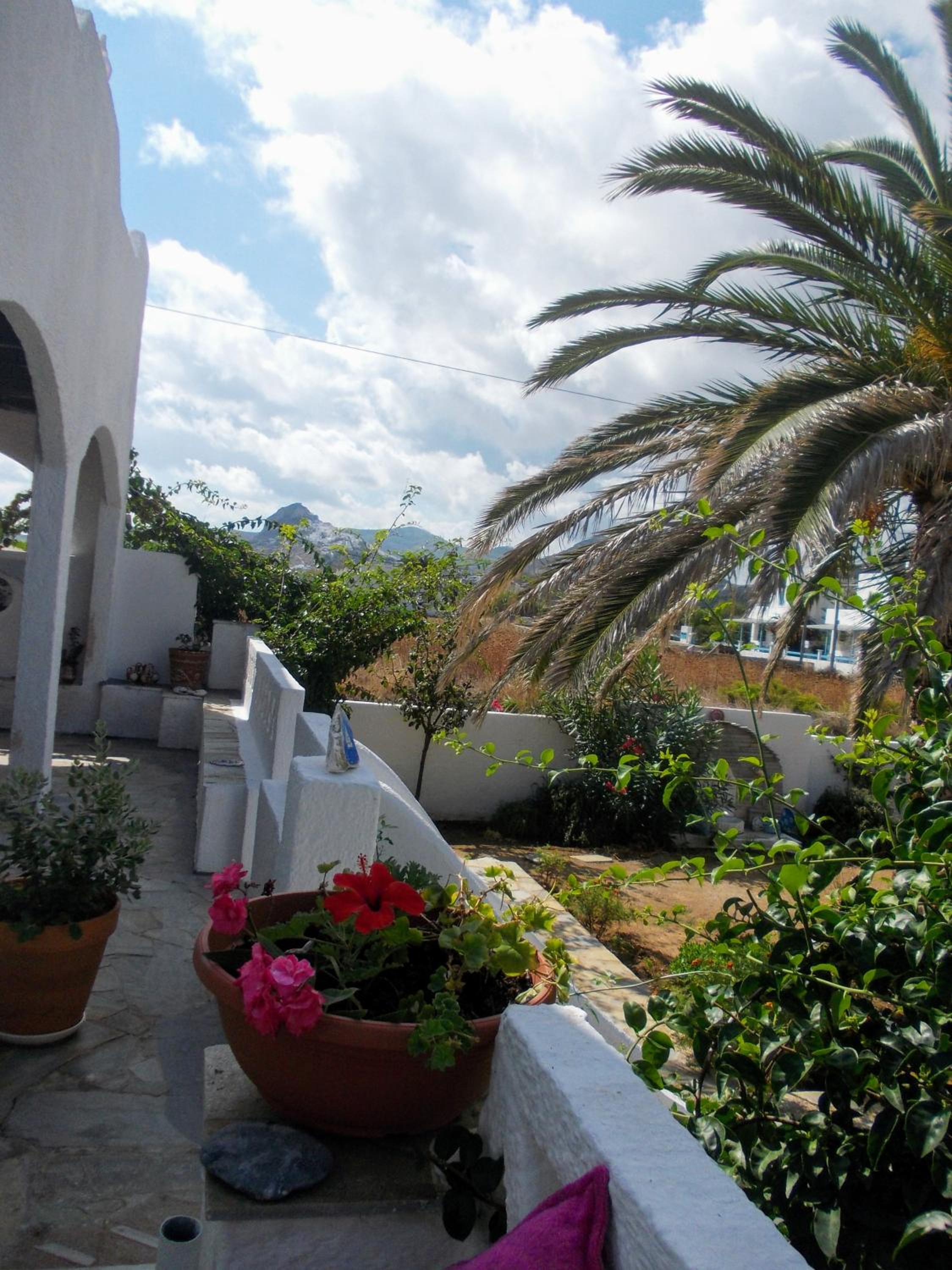 Photo 40