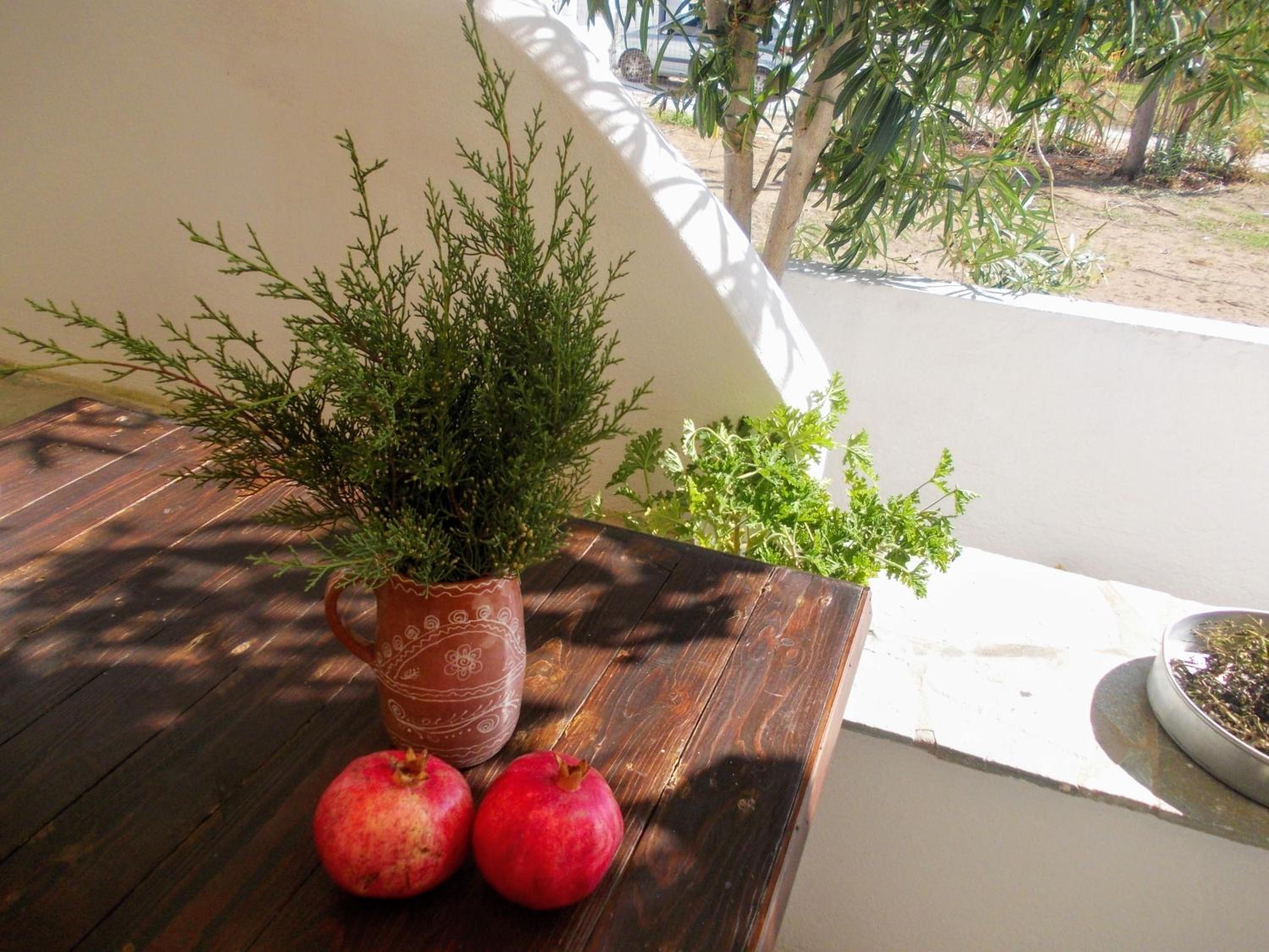 Photo 42
