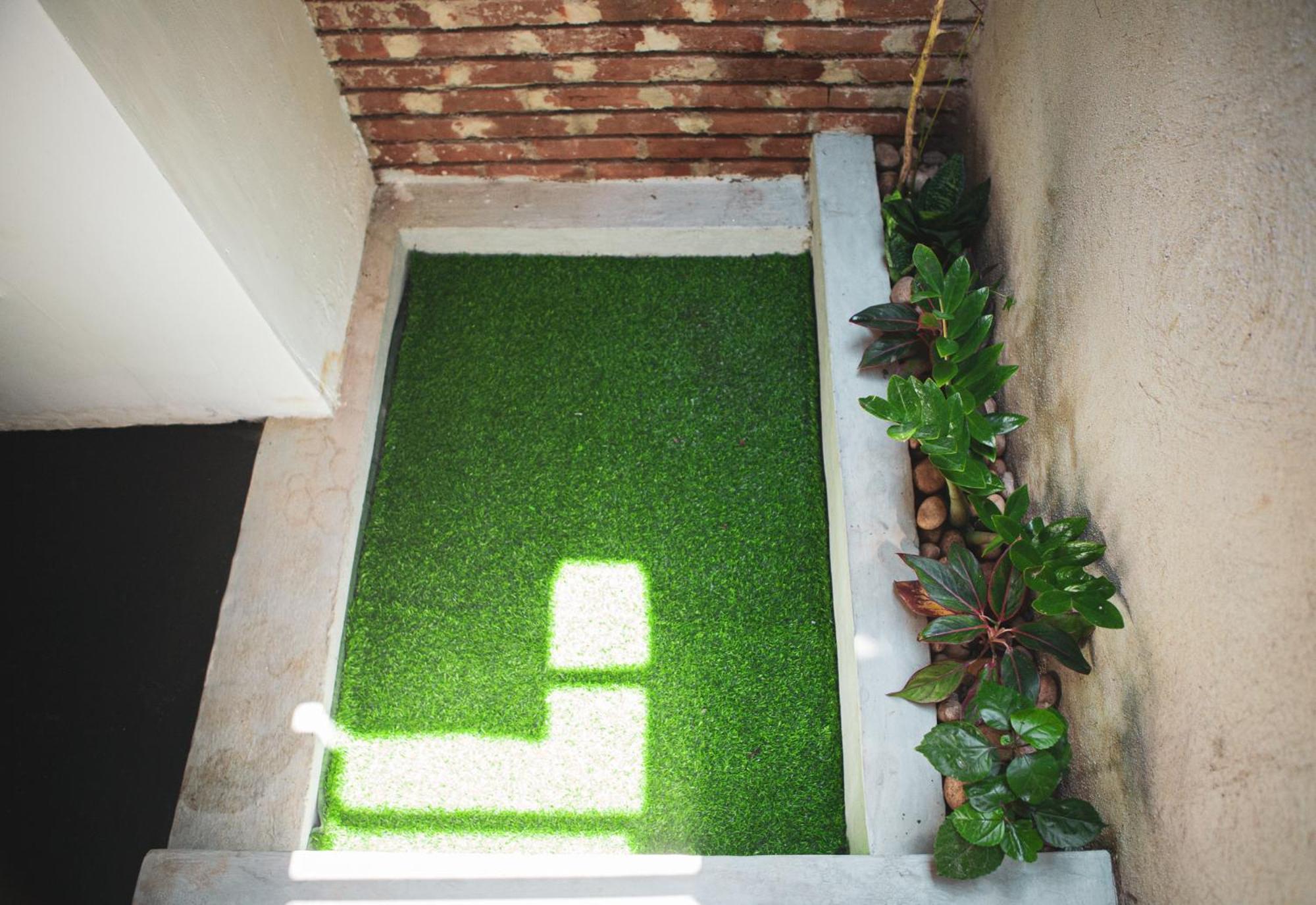 Nature Rex Hostel, photo 10