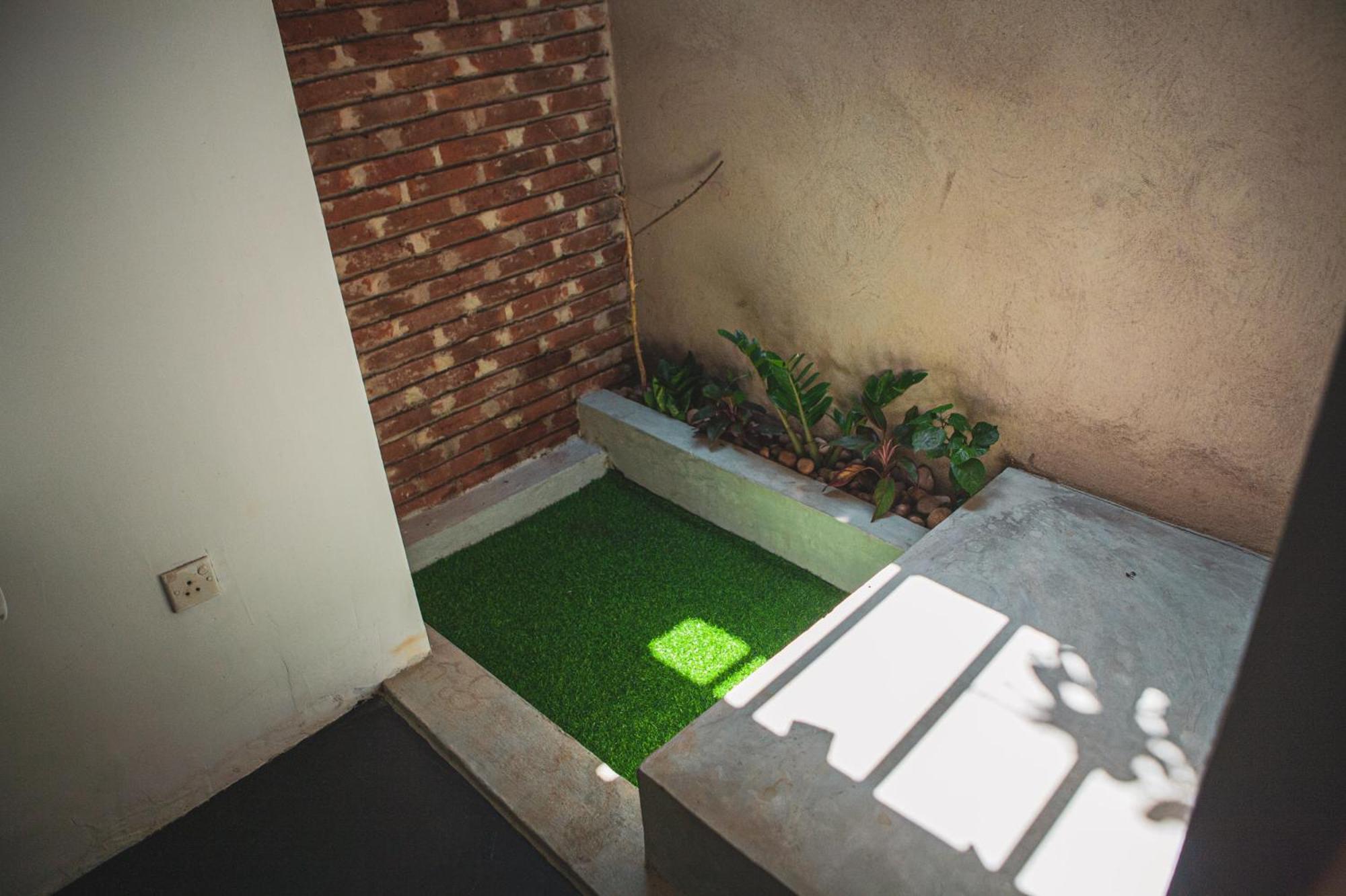 Nature Rex Hostel, photo 30