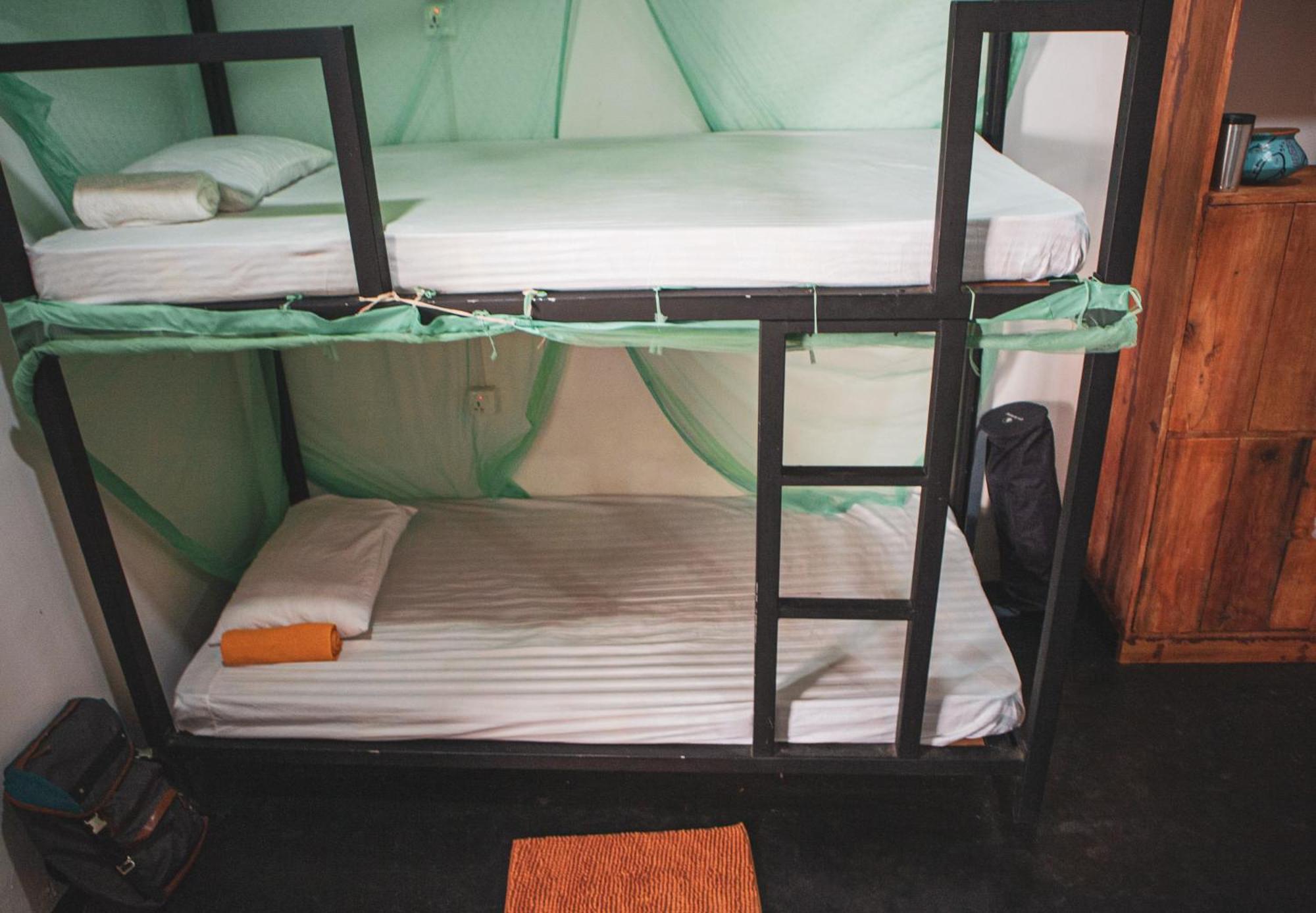 Nature Rex Hostel, photo 17