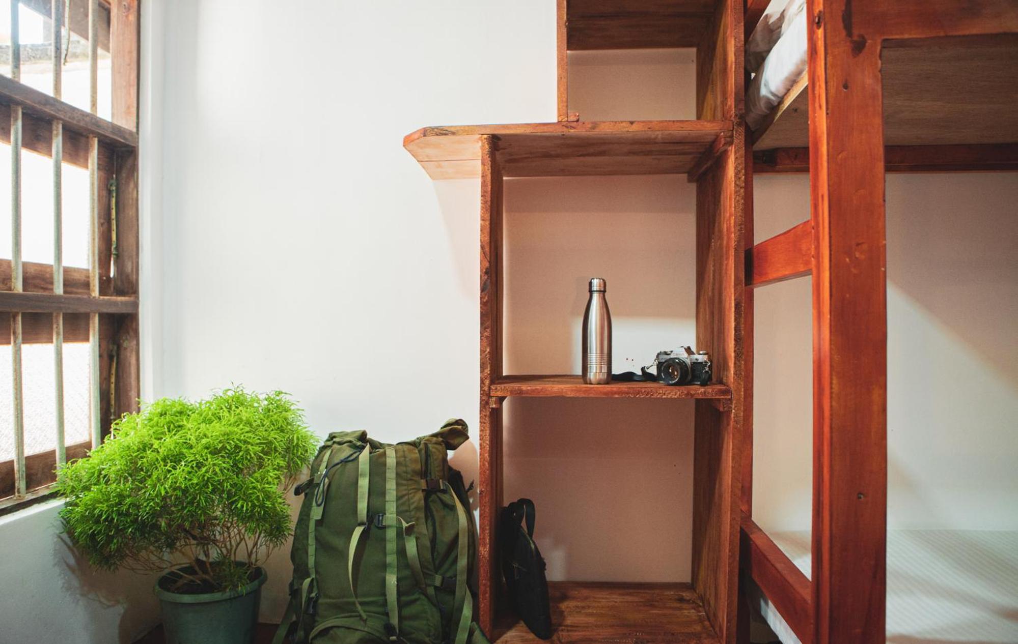 Nature Rex Hostel