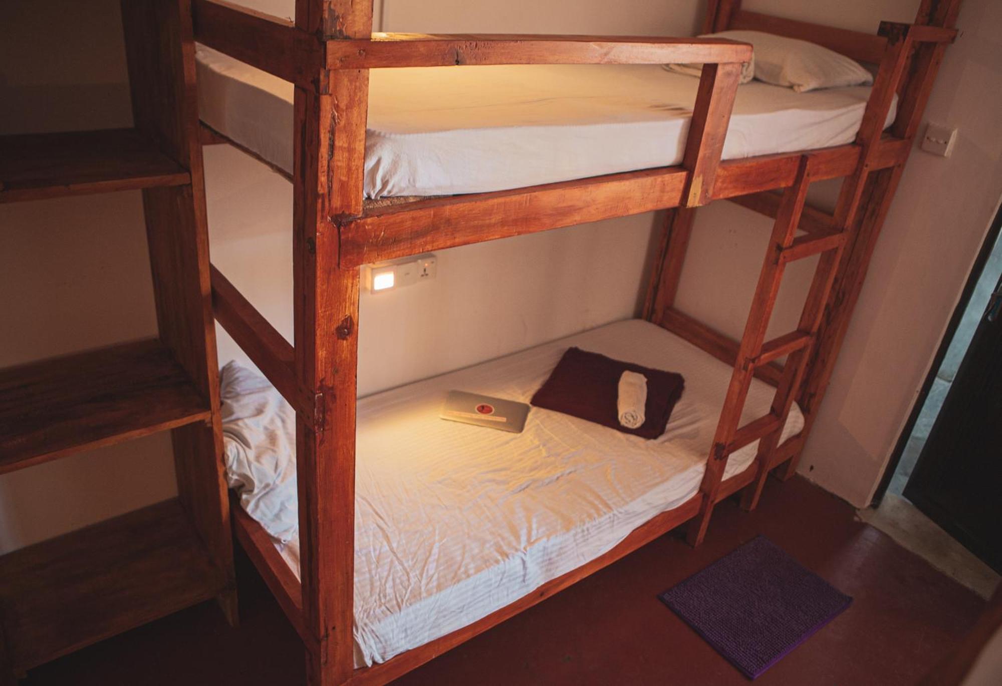 Nature Rex Hostel