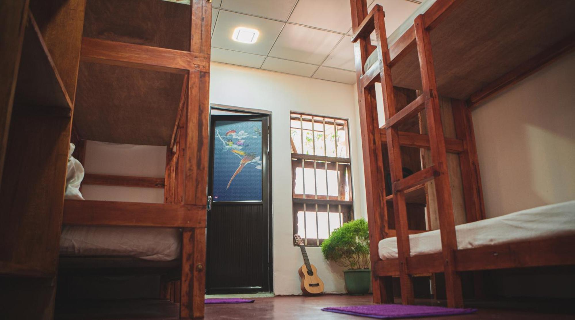 Nature Rex Hostel, photo 68