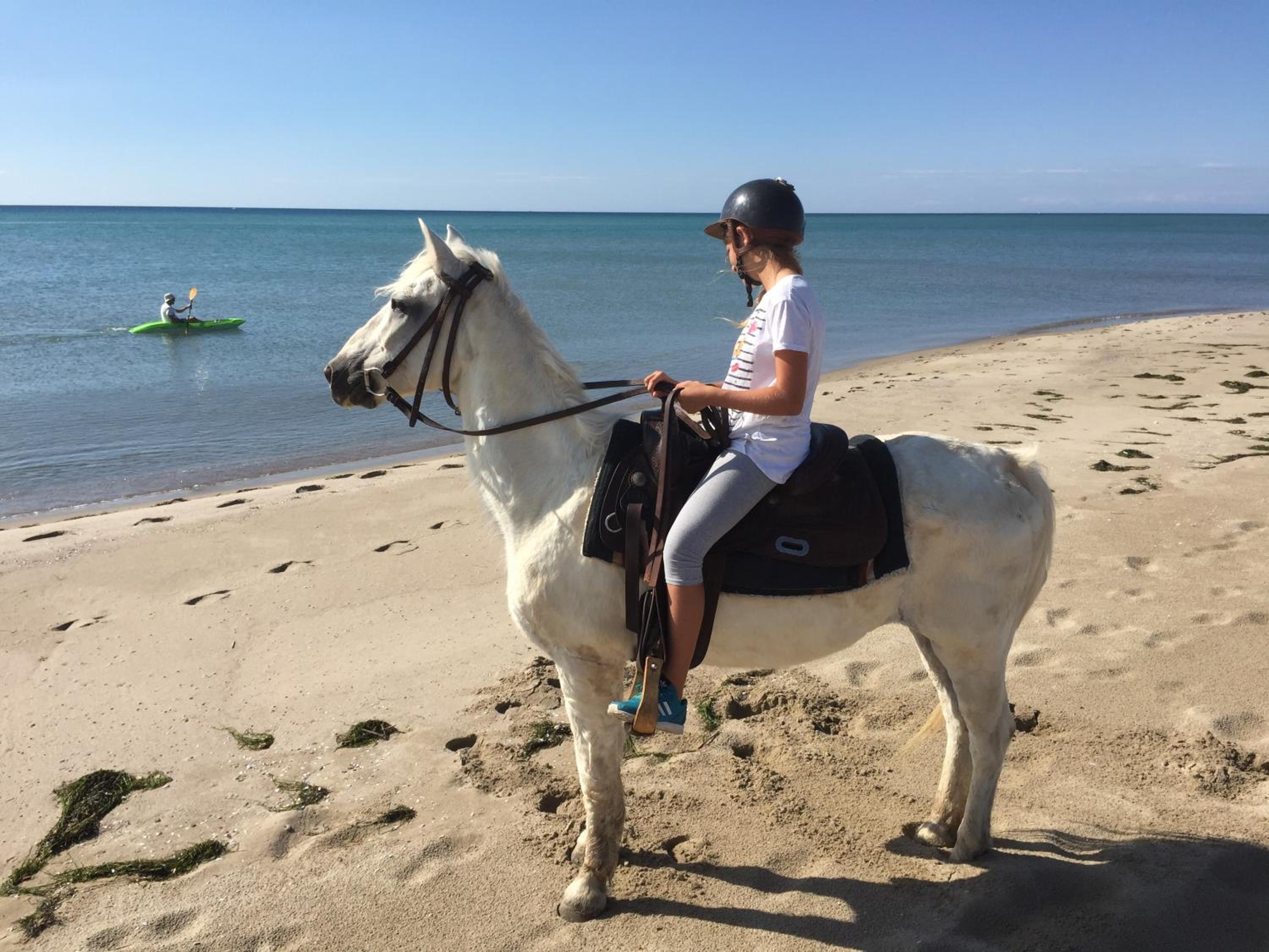 Agriturismo La Stornara, Petfriendly & EV Friendly