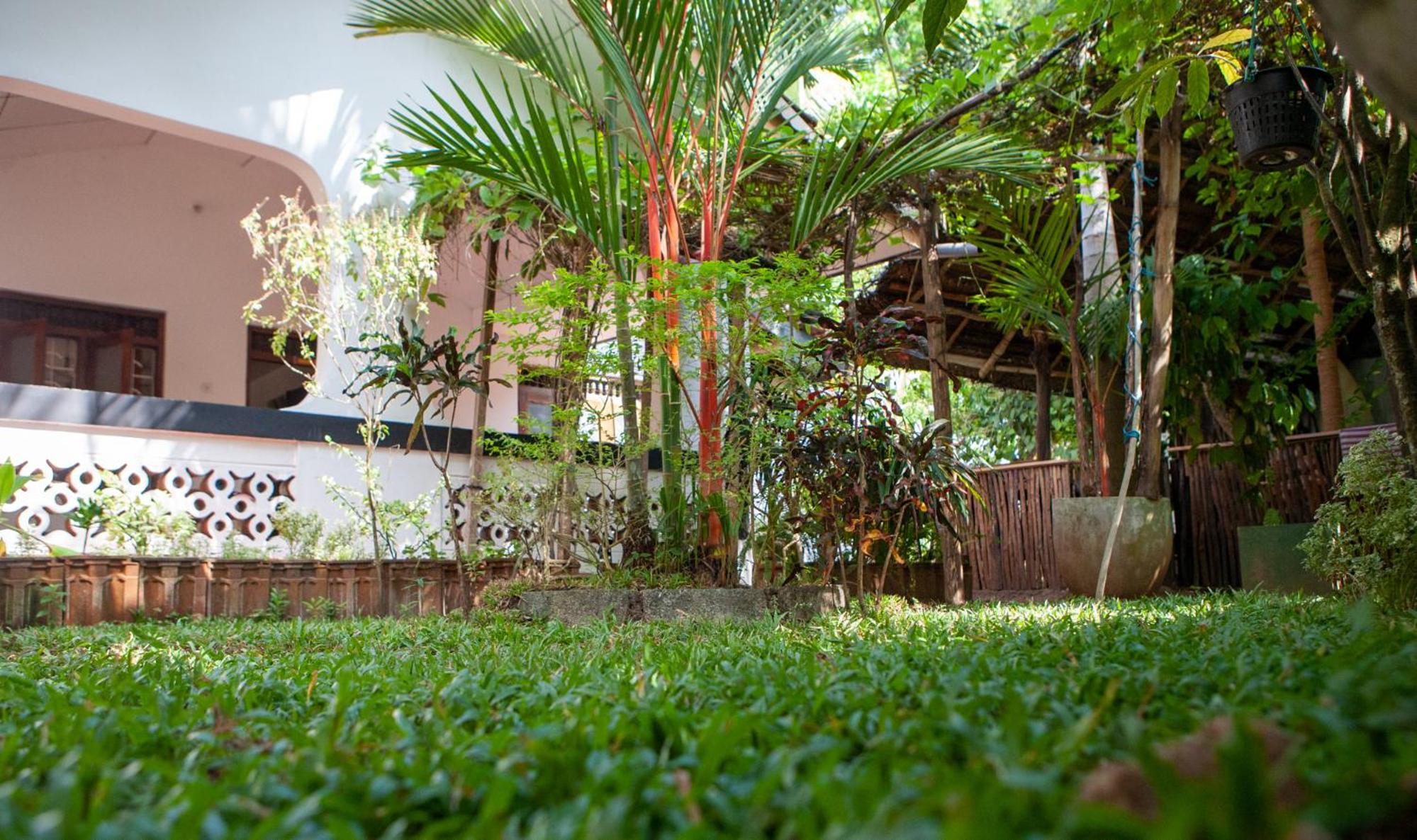 Nature Rex Hostel