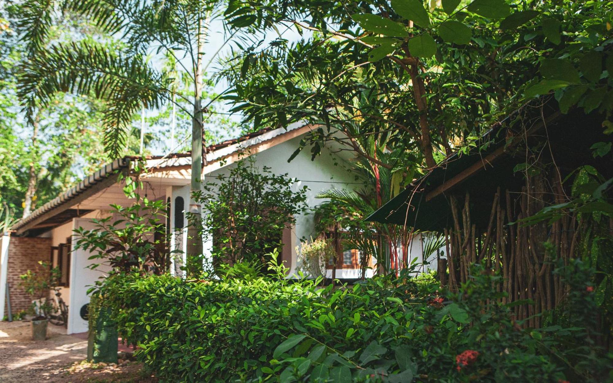 Nature Rex Hostel, photo 58