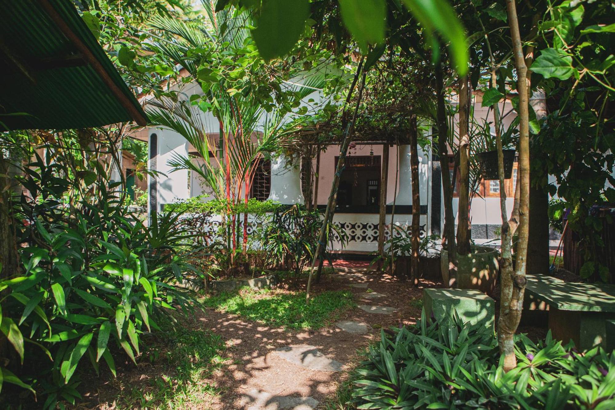 Nature Rex Hostel, photo 47
