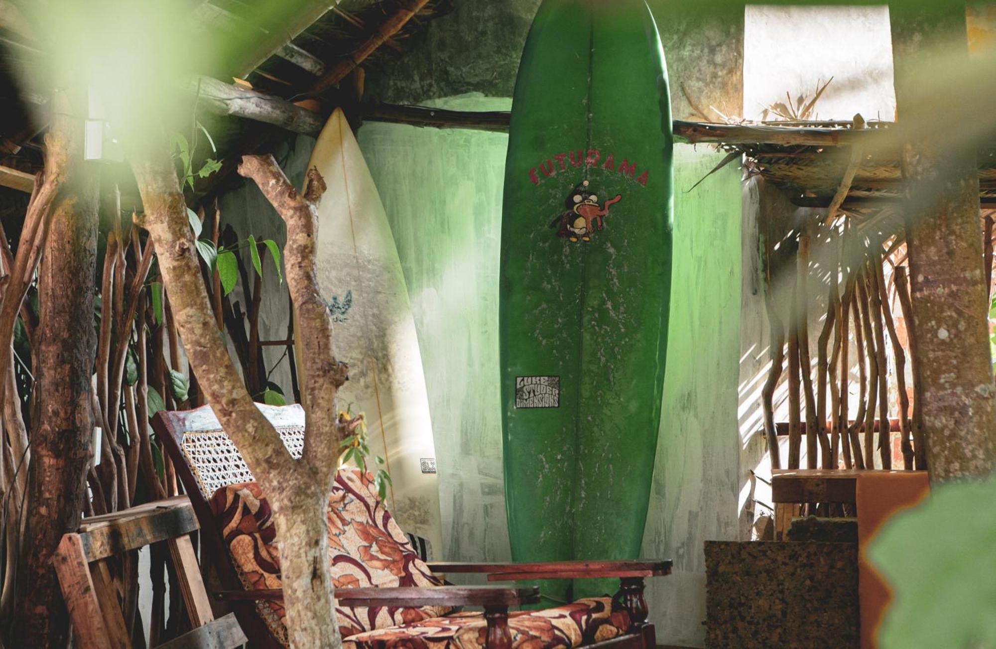 Nature Rex Hostel