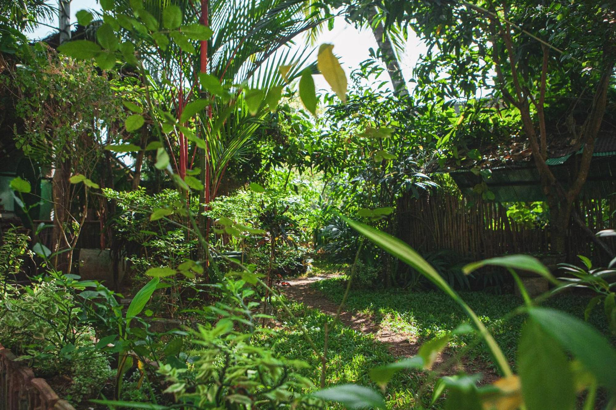 Nature Rex Hostel, photo 36