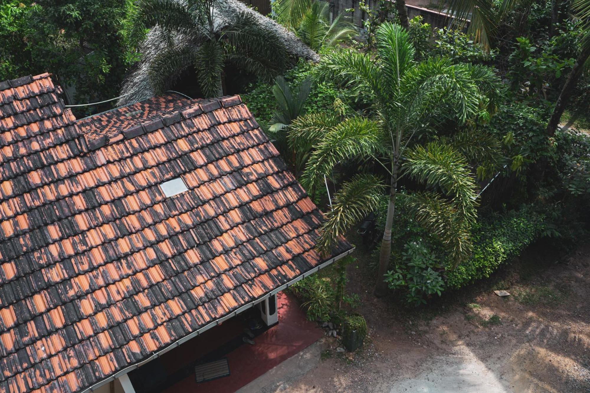 Nature Rex Hostel