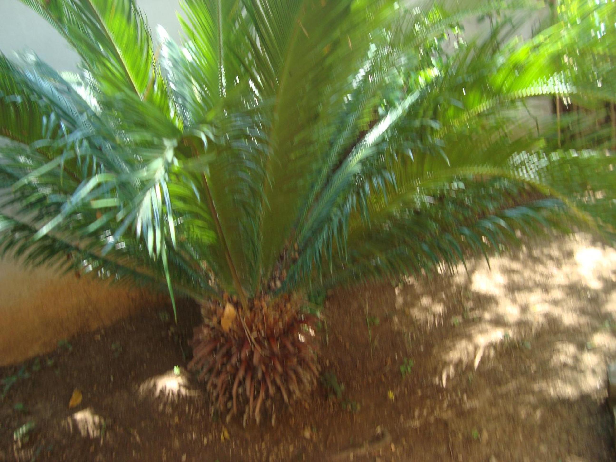 Photo 25
