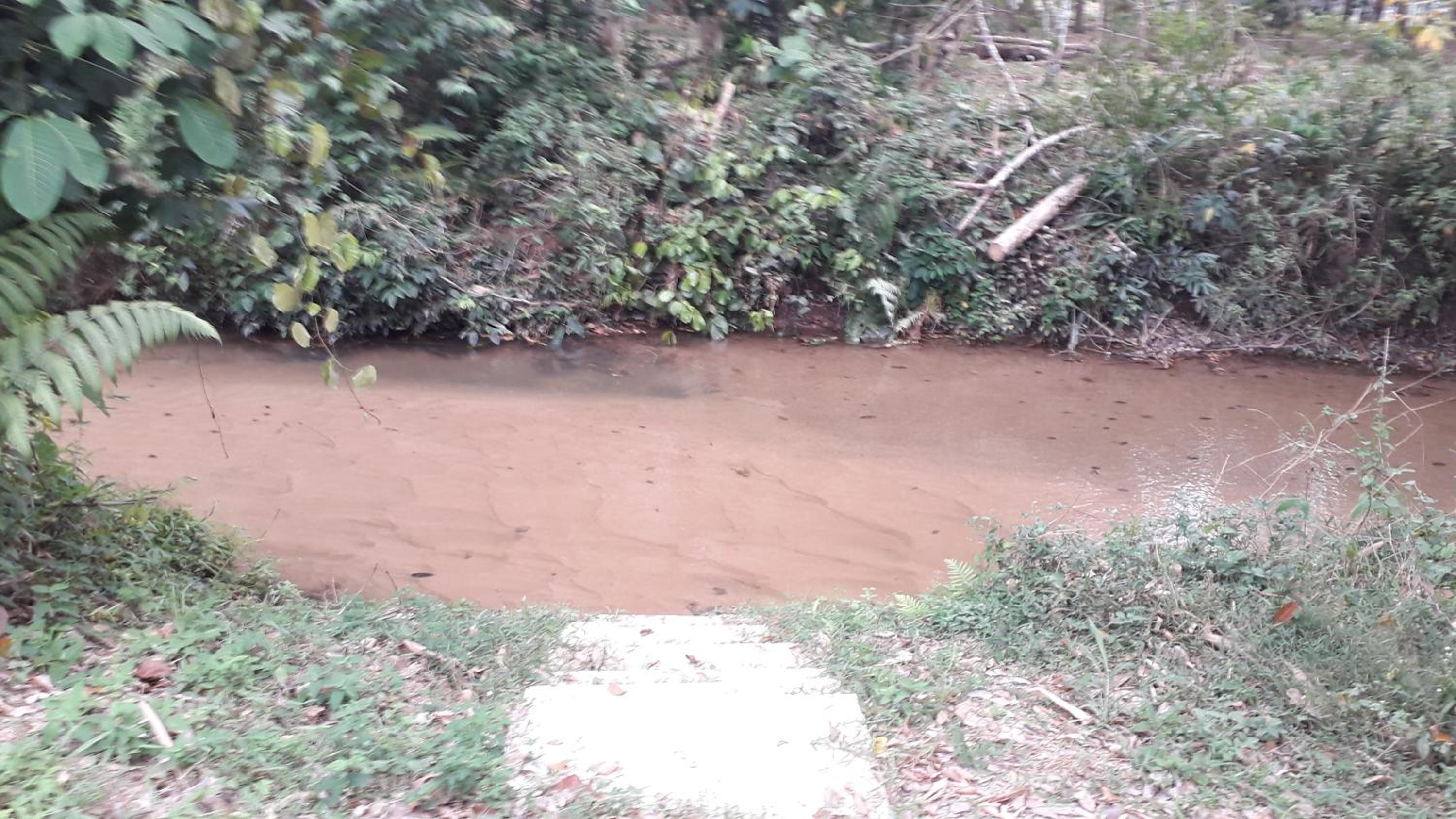 Chalet Kampong Guar, Manong photo 5
