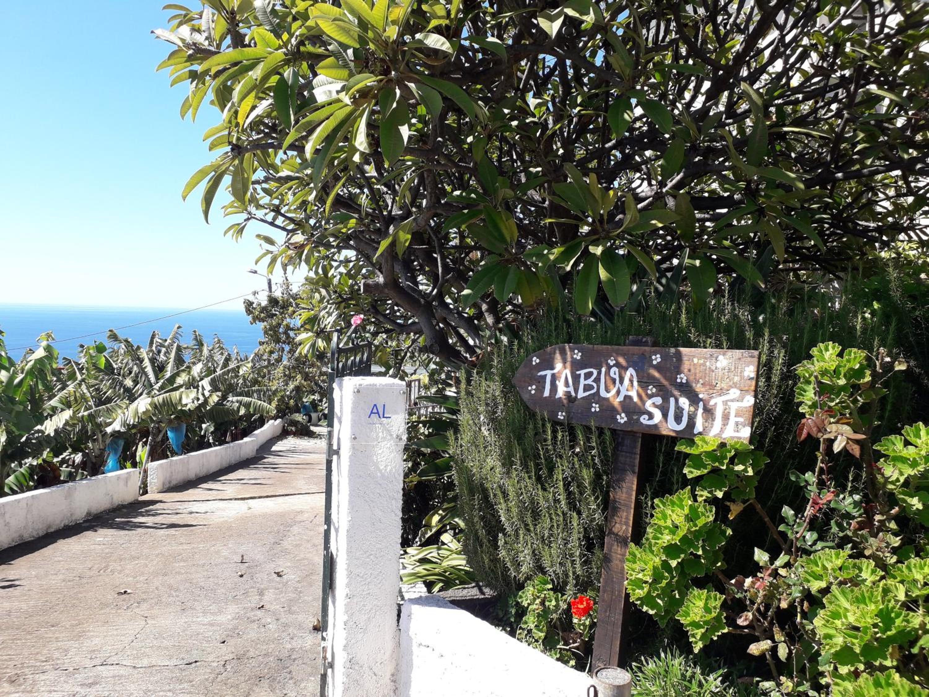 Tabua Village Madeira Suite 5 Nature Lovers view 3