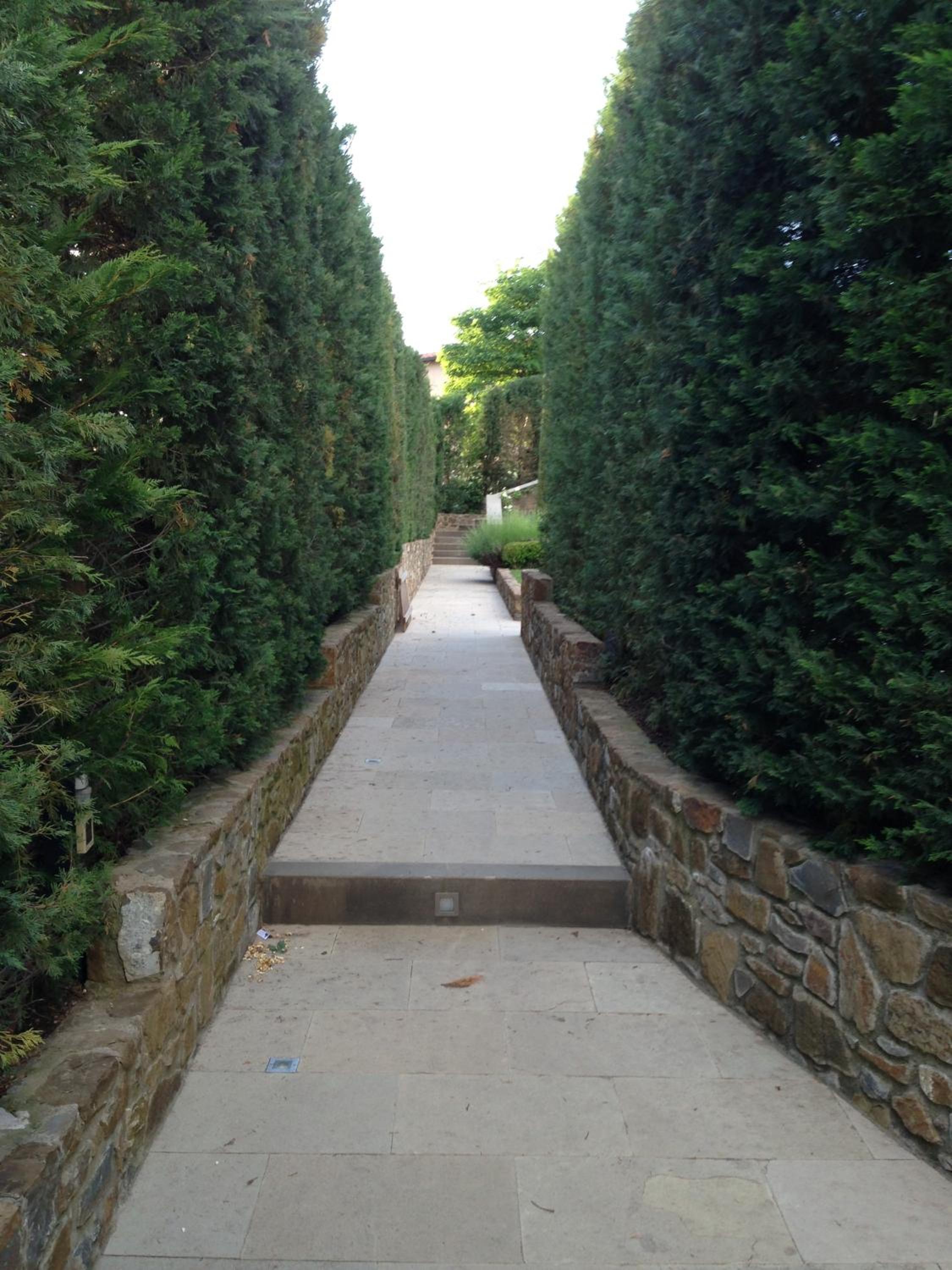Photo 28