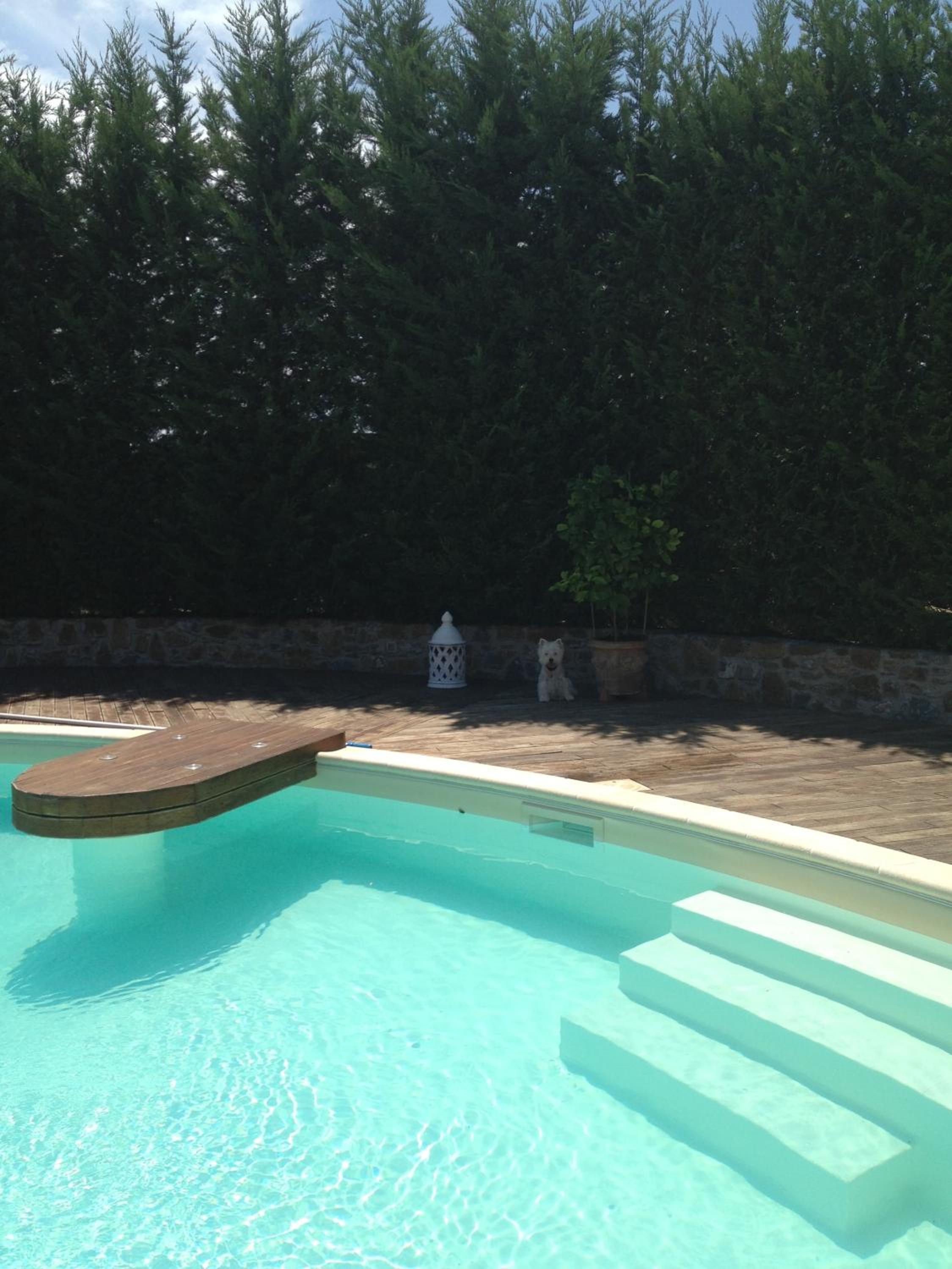 Photo 41
