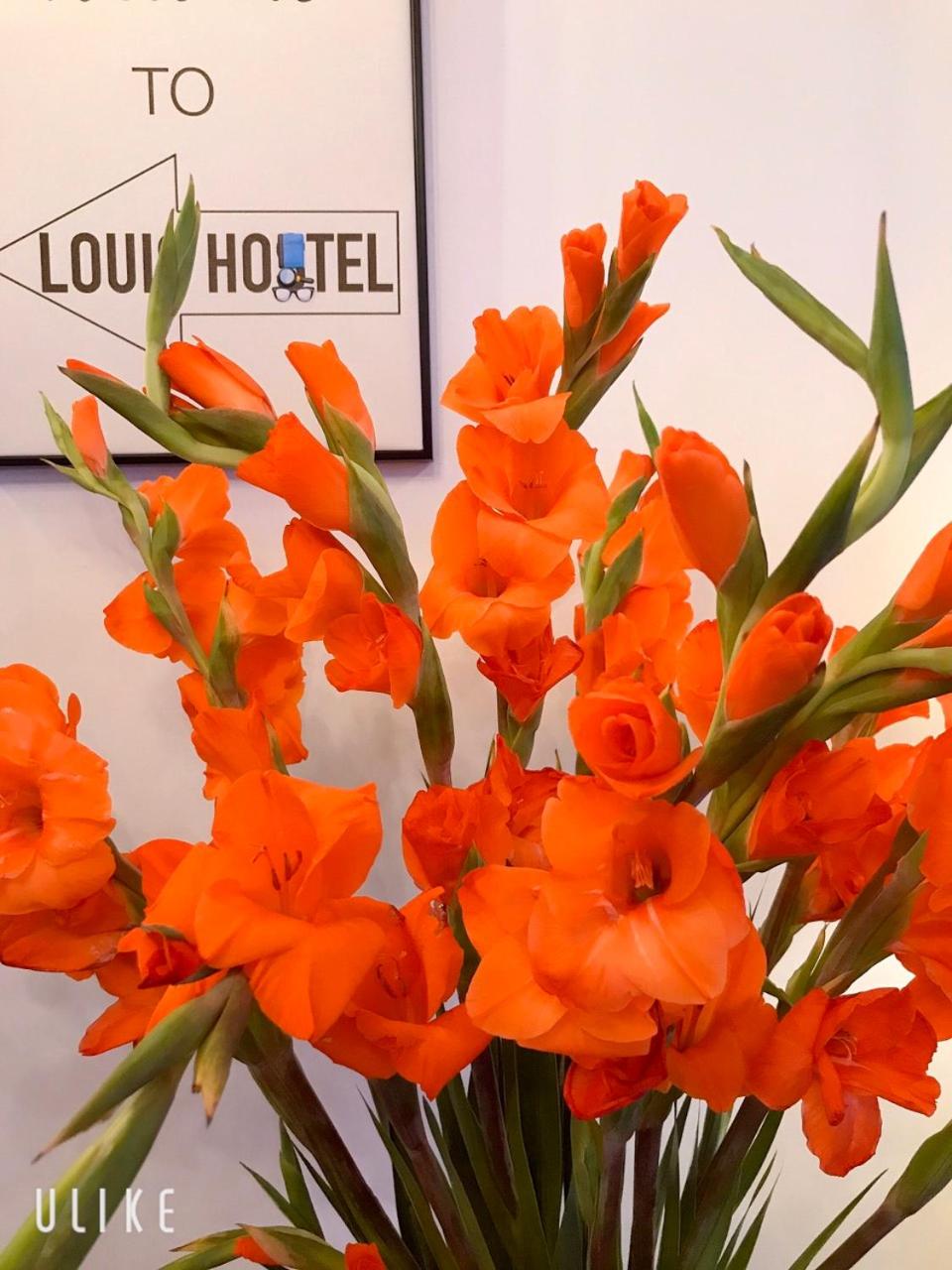 Louis Hotel - Bui Vien Walking Street