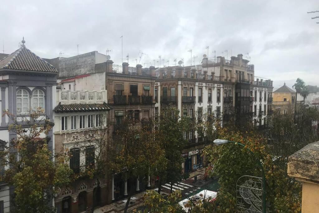 Apartamento San Roque- Street Lecha Marzo view 4