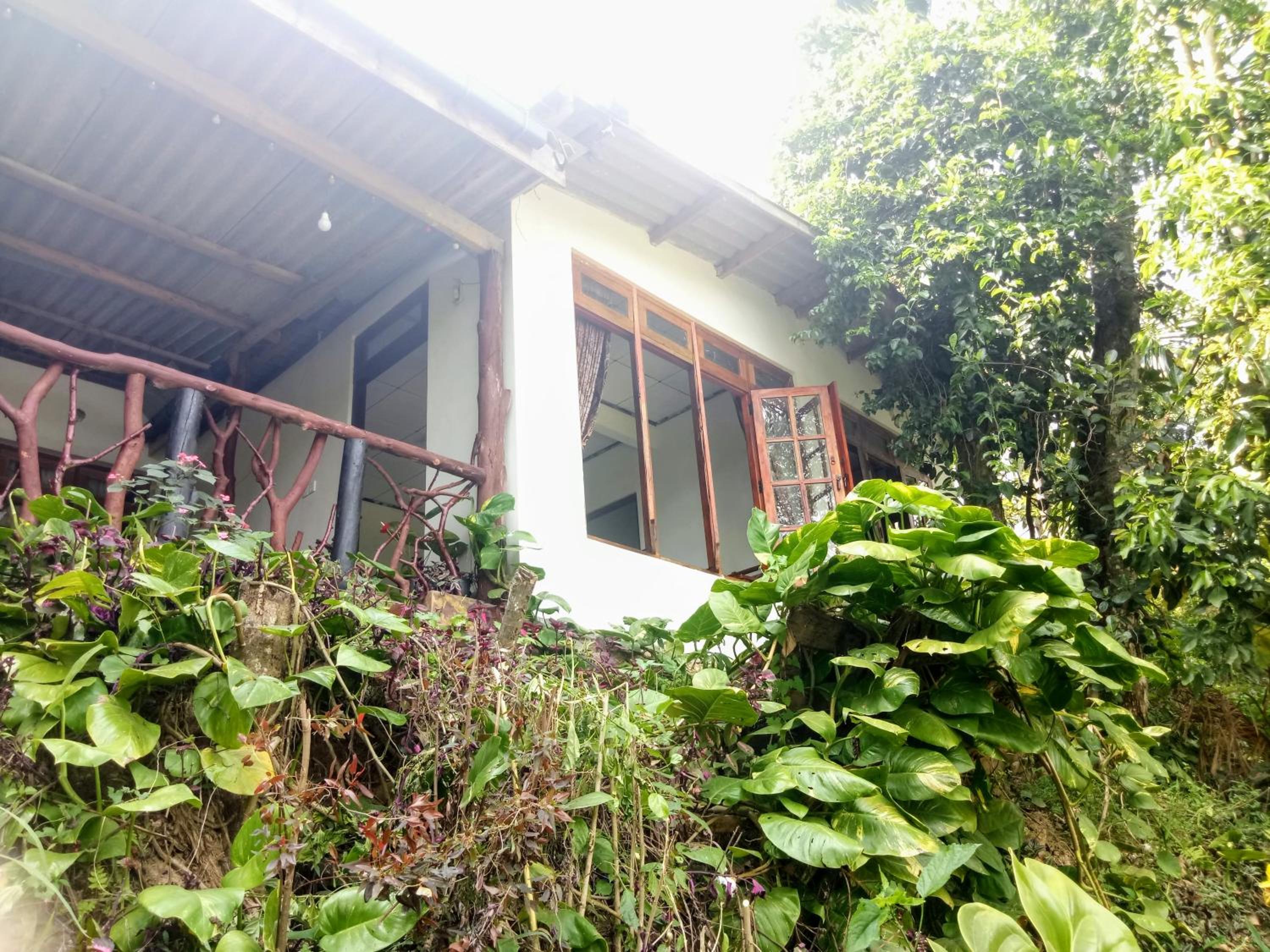 Photo 44