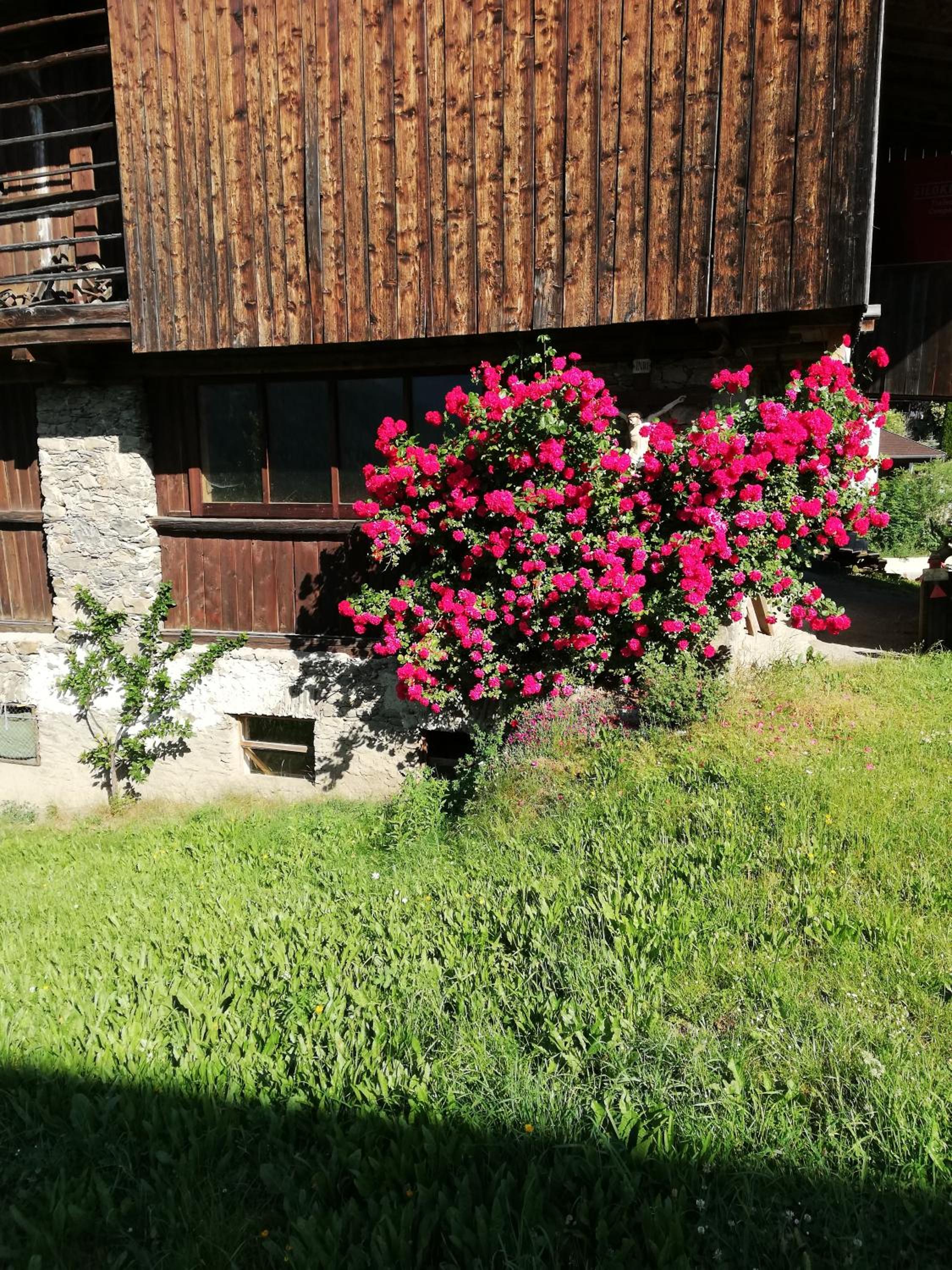 Ledererhof