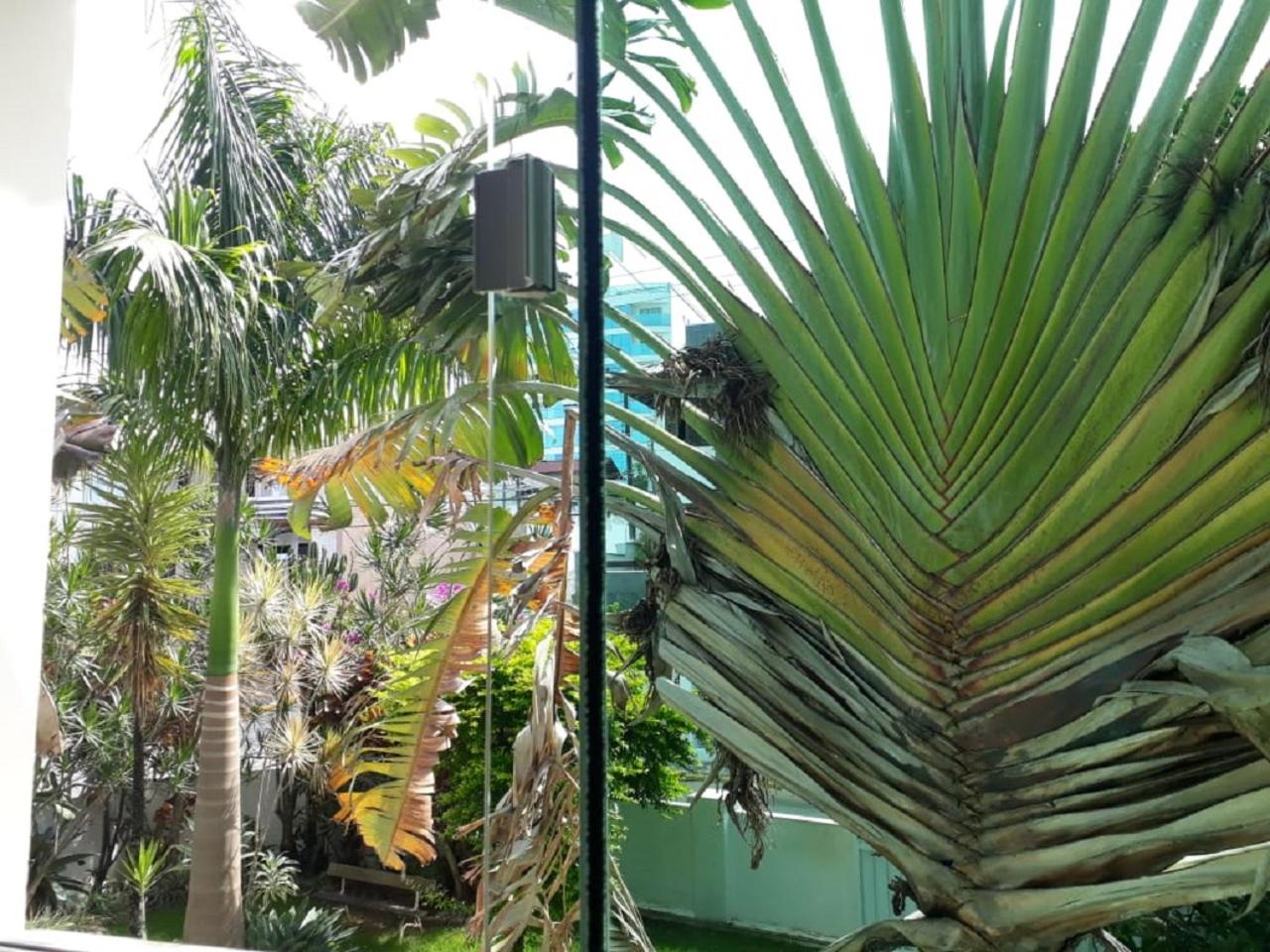 Casa da Praia