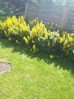 Photo 24