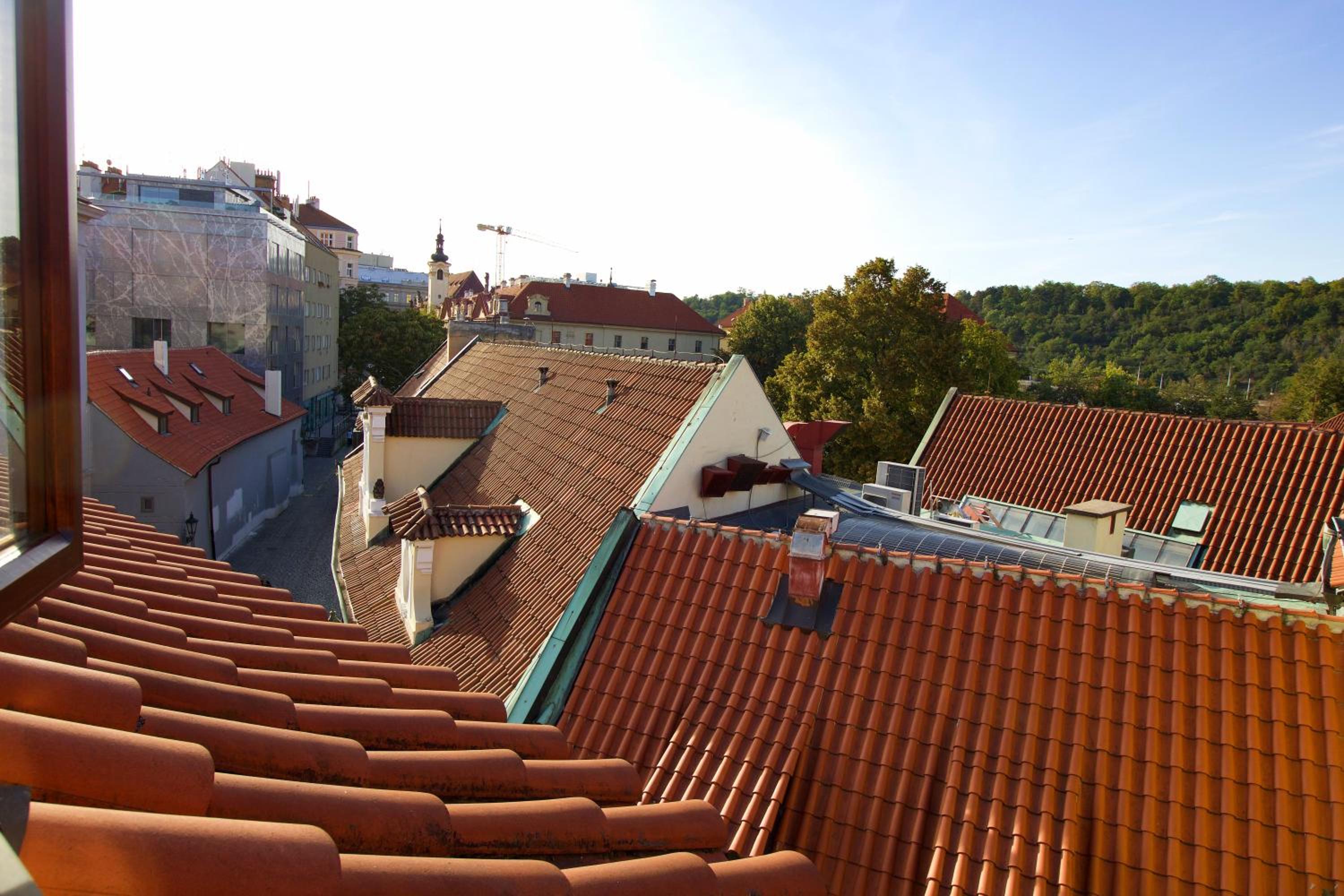 roof