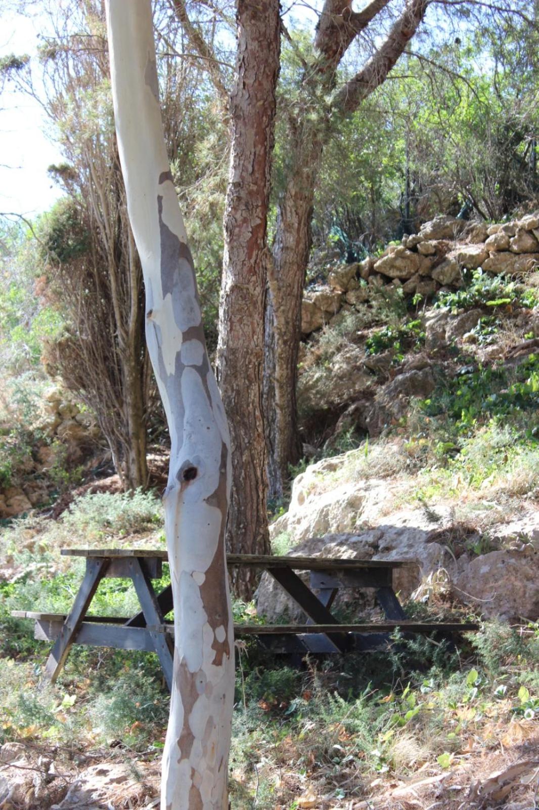 Photo 40
