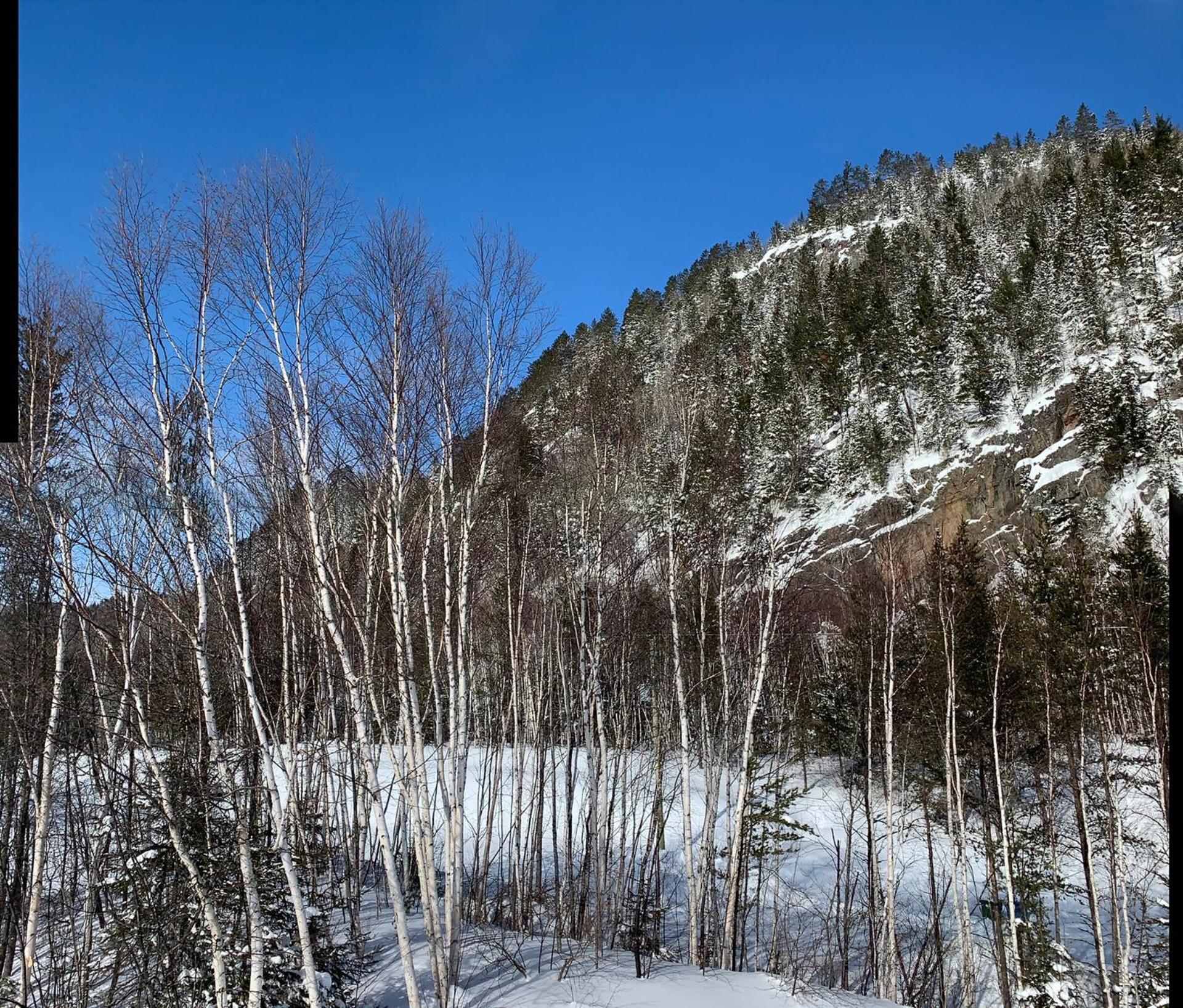 Condo Mont-Edouard