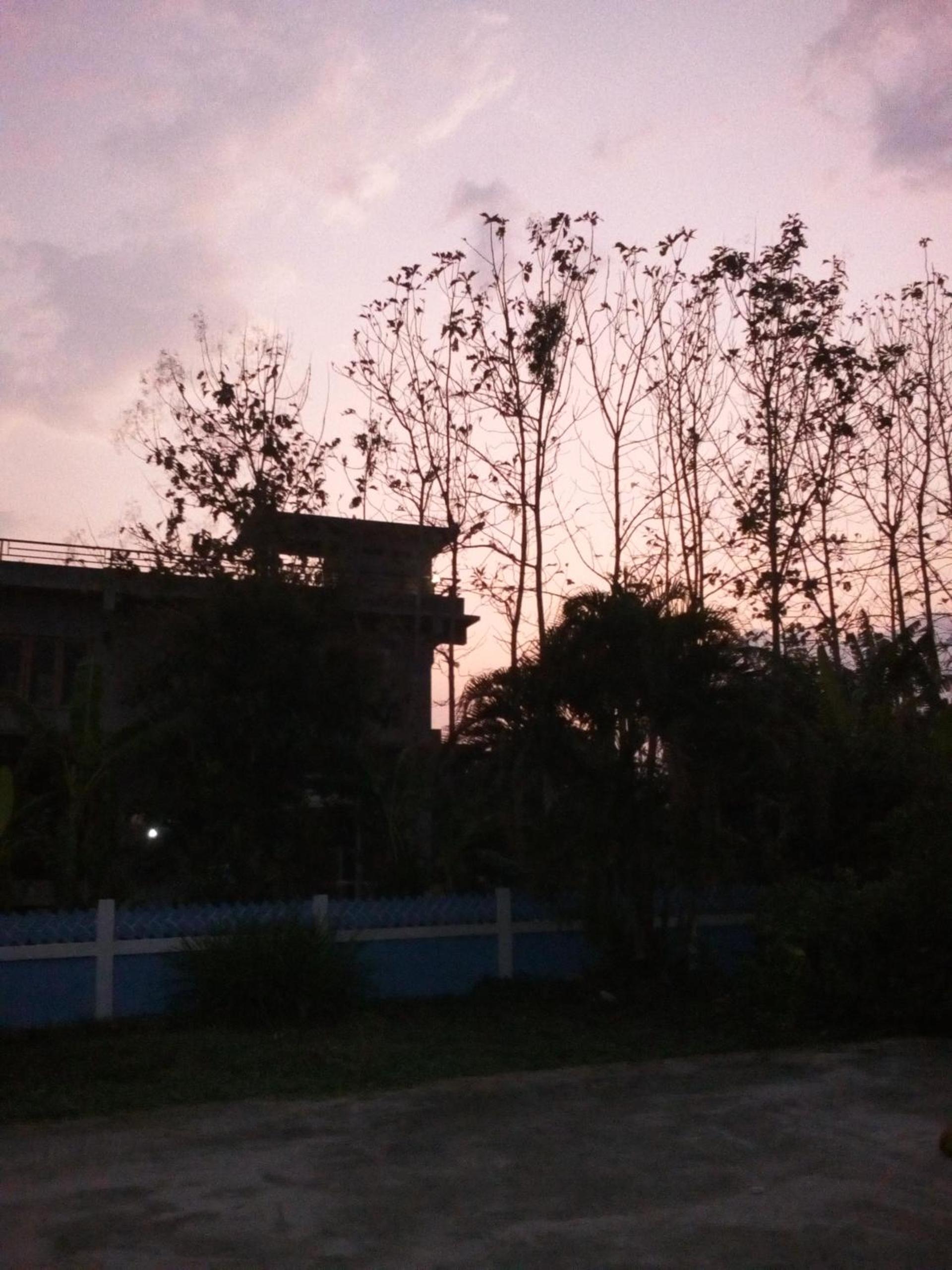 Photo 38