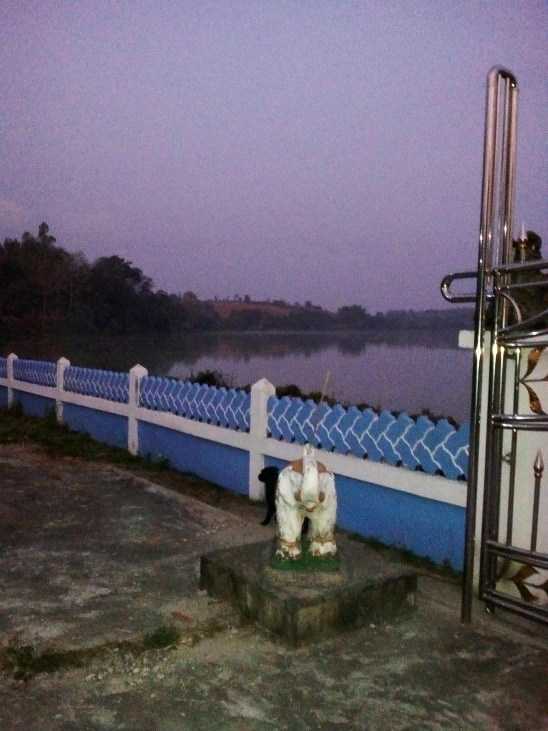 Photo 42