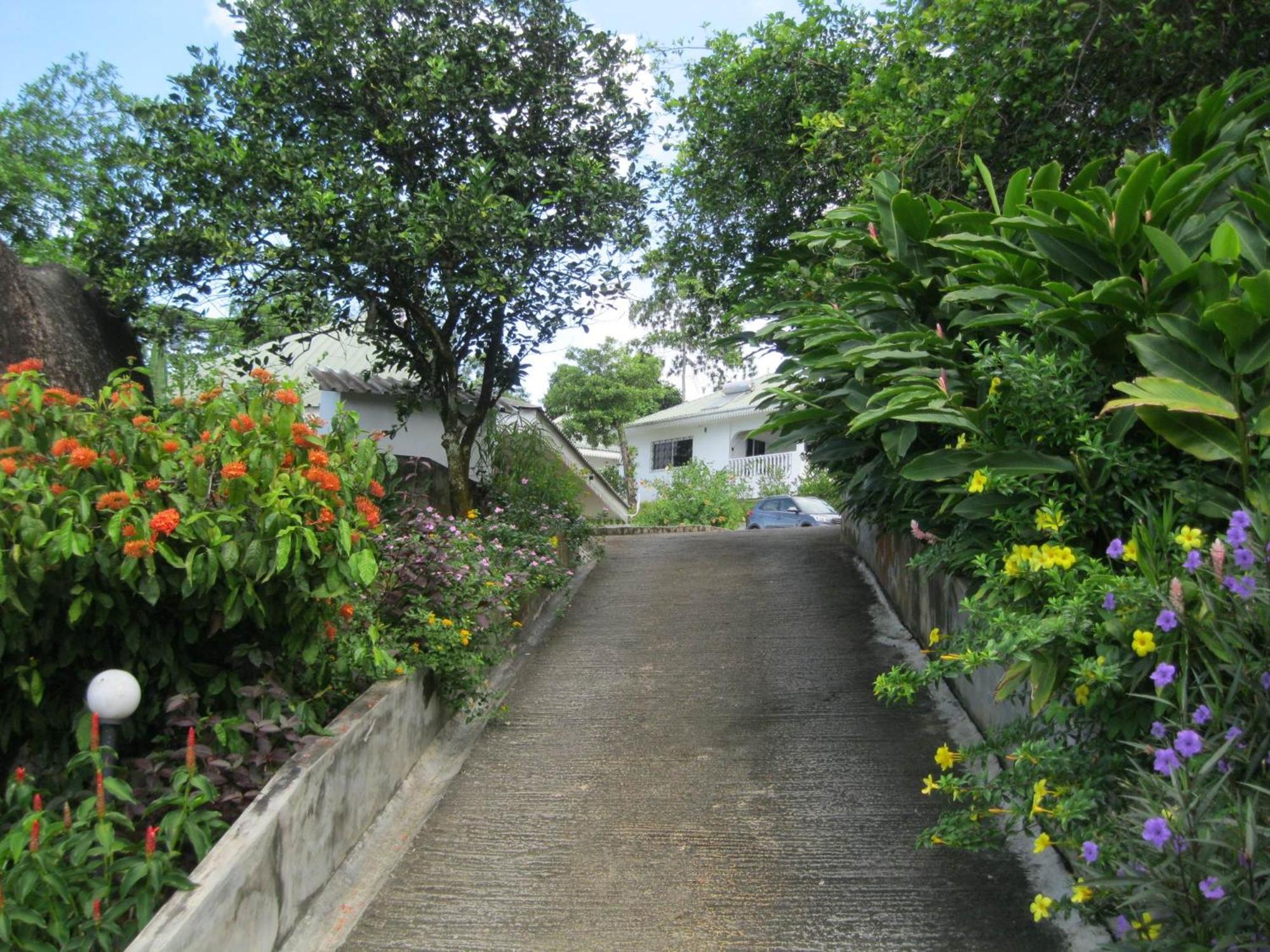 Chepsted Chalets photo 2