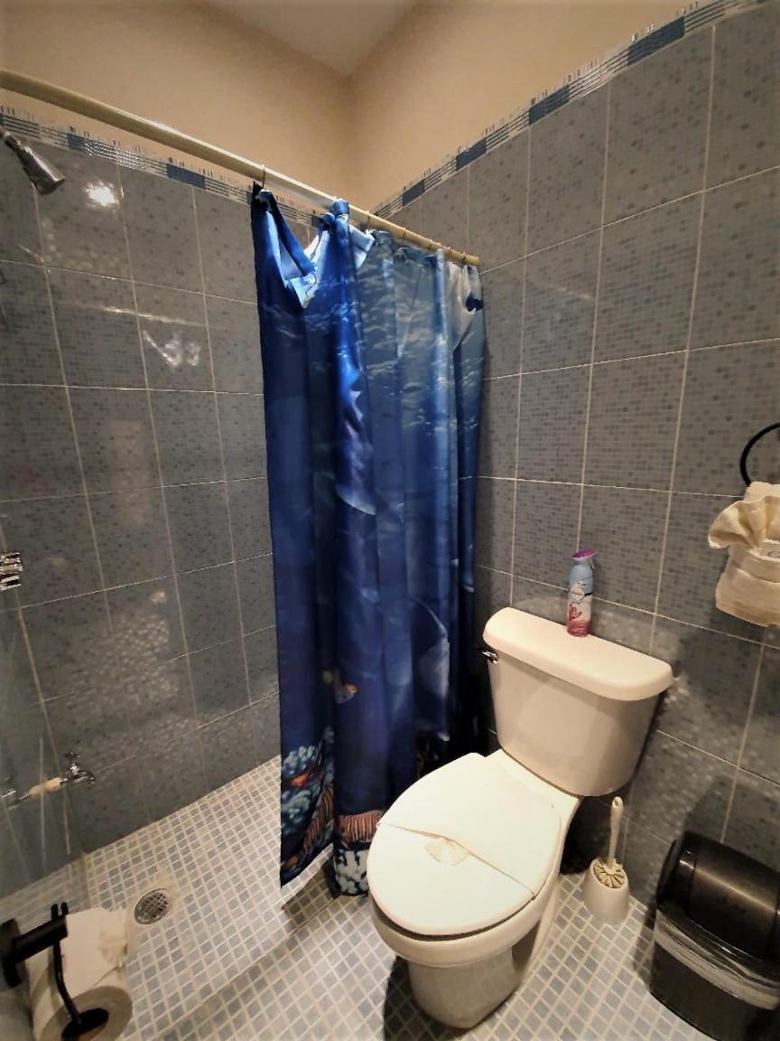 Photo 31