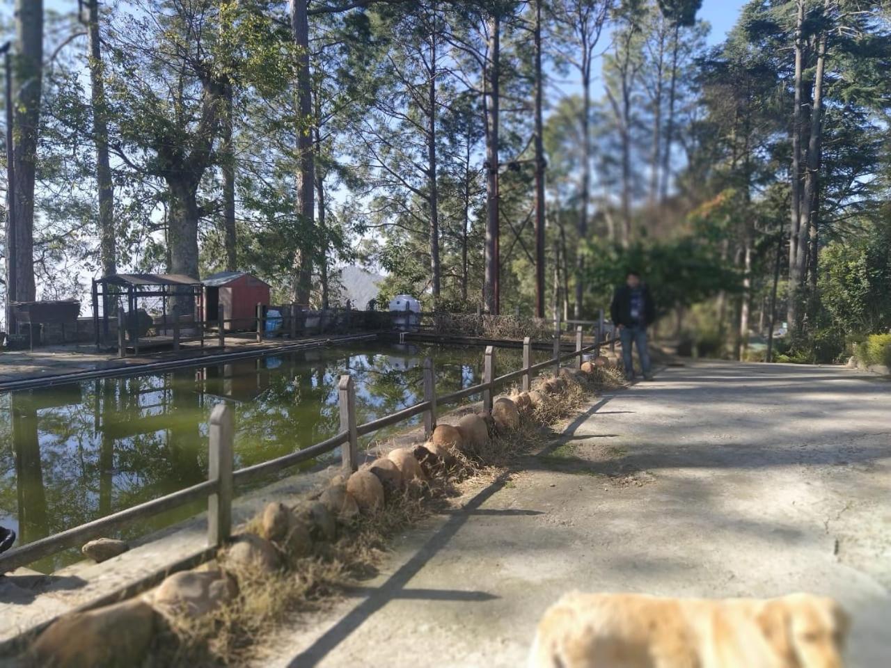 Deodar Homestay view 3