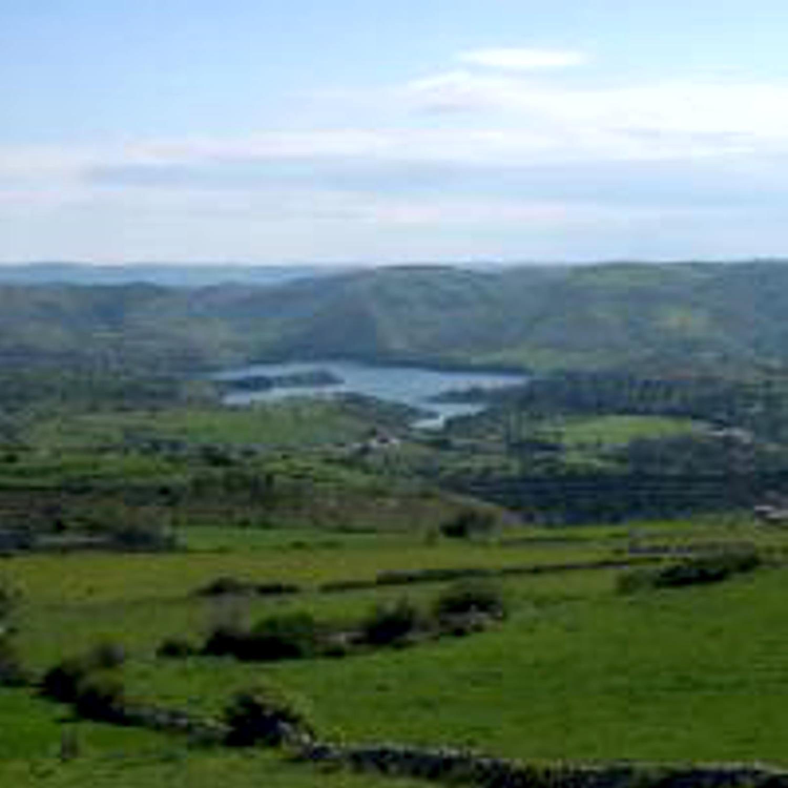 Pura Vida Barocca