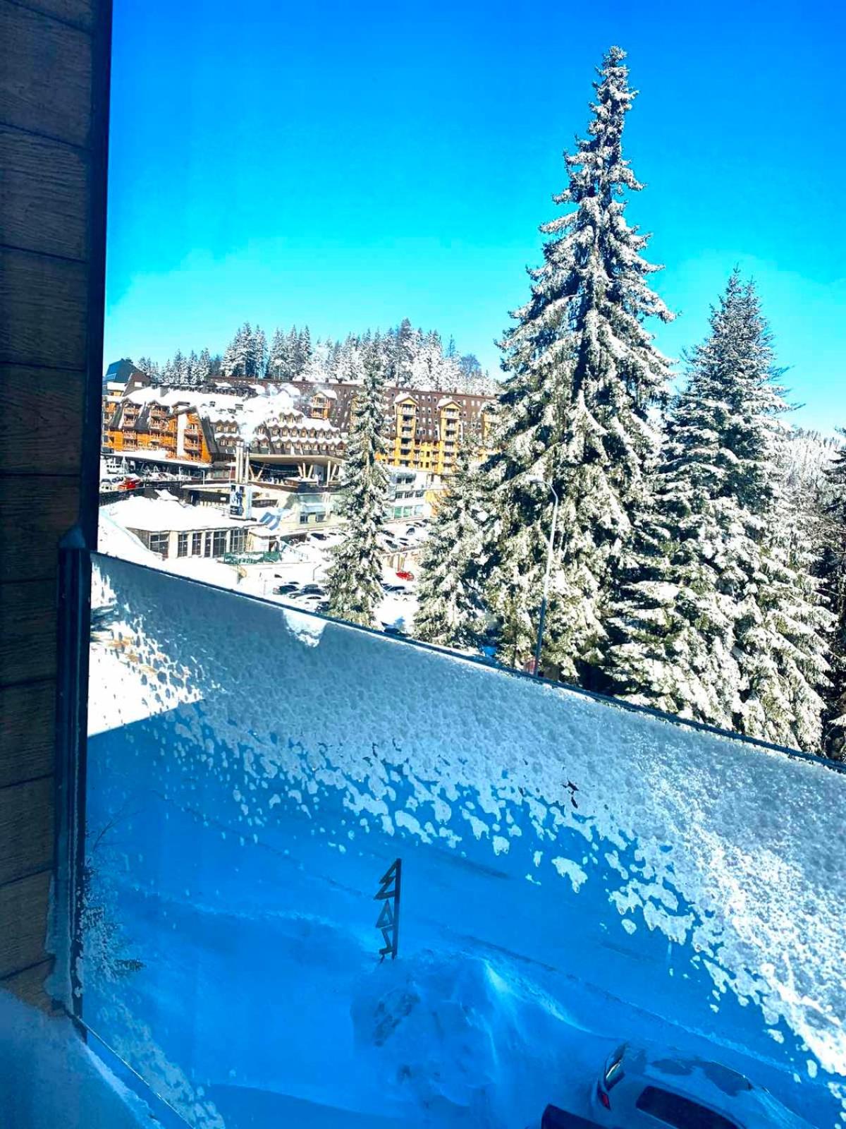 Alpin Apartments Jahorina view 2