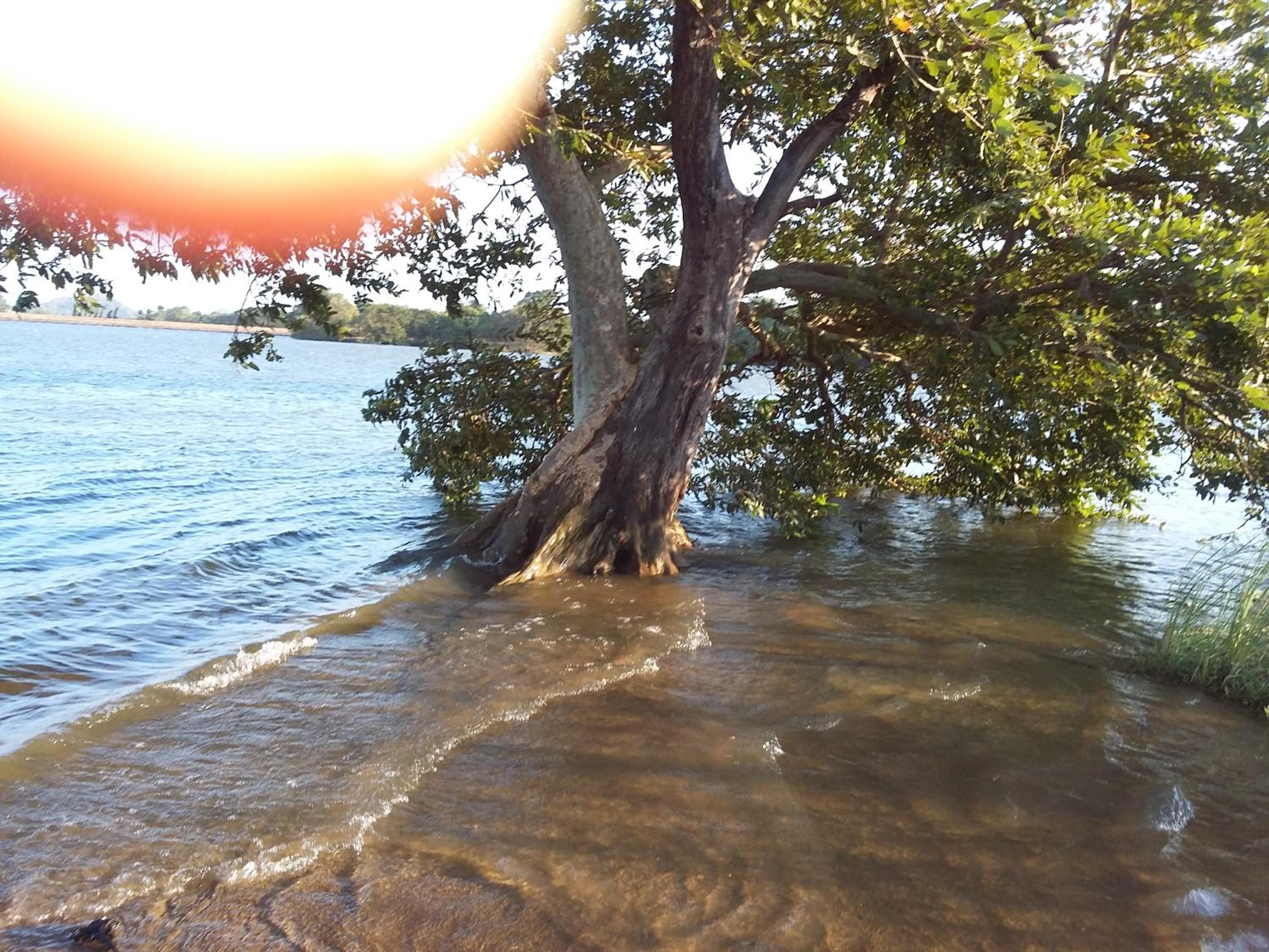 Niduwari Lake Homestay view 2