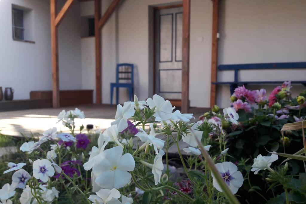 Photo 17