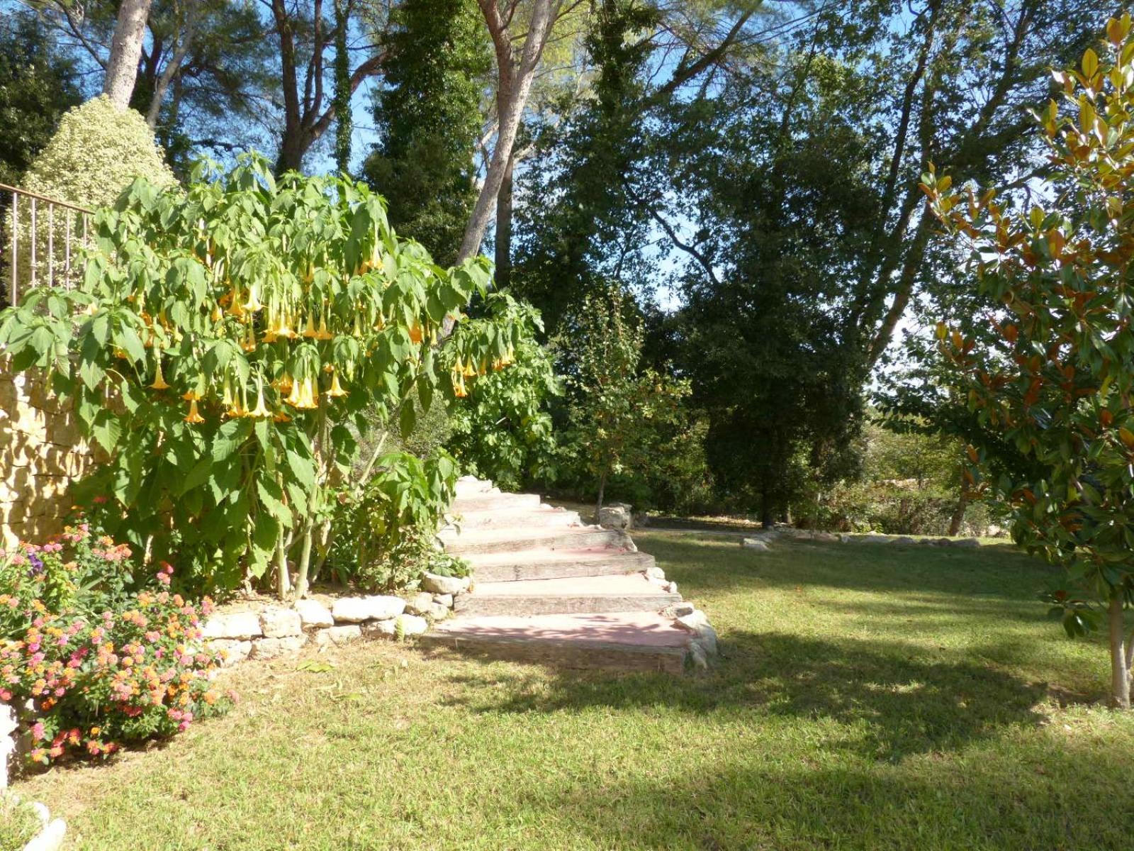 Photo 27