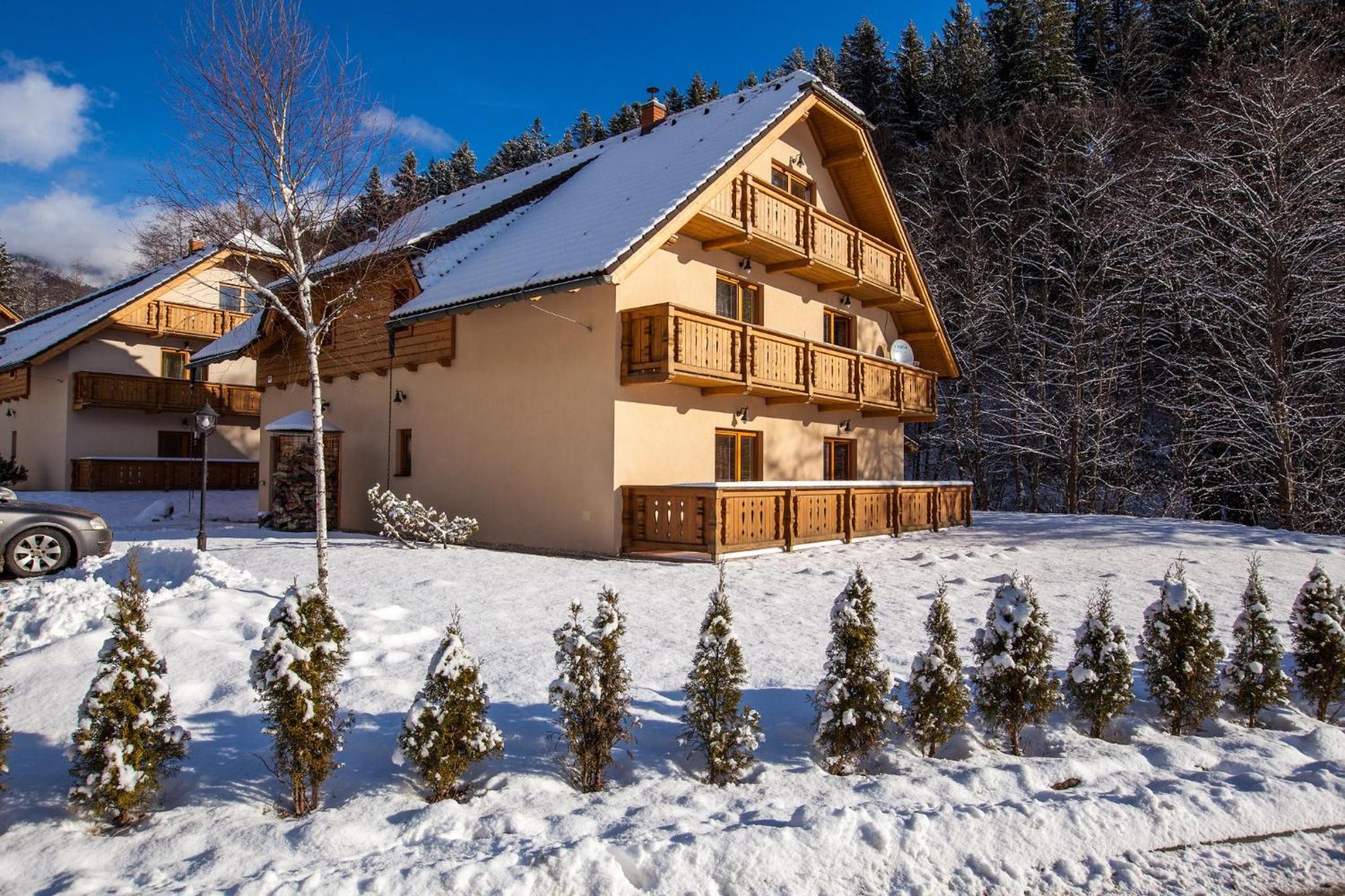 Apartmány Pinus, Tále, Chopok Juh view 2