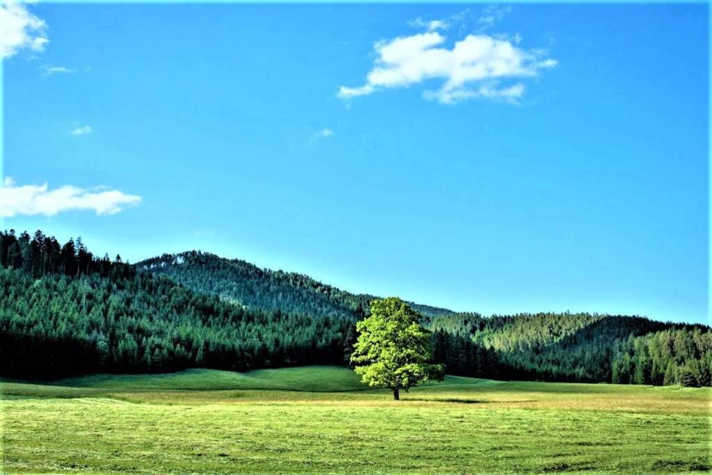 Höblinghof