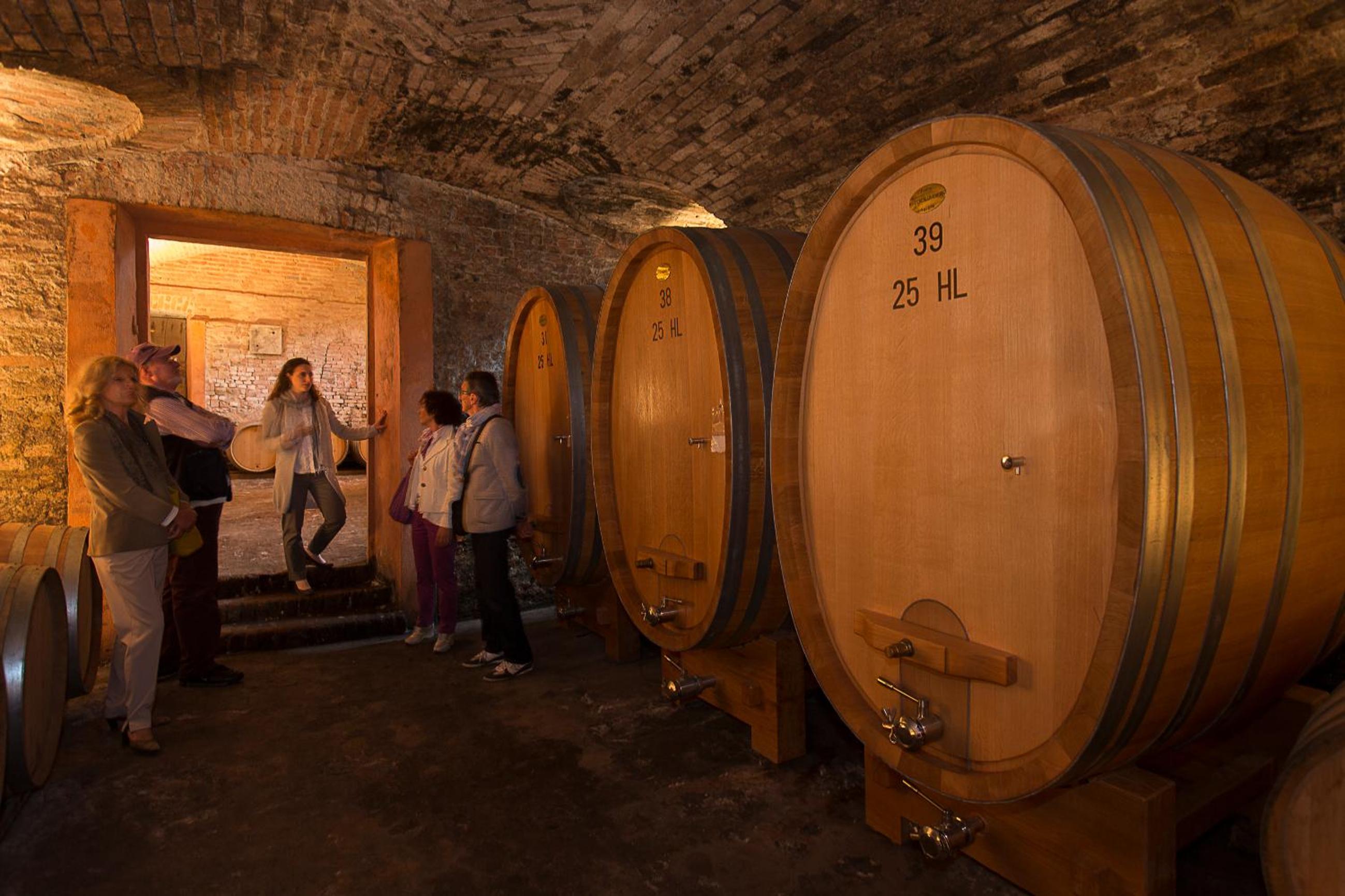 Marchesi Alfieri - Cantine e Ospitalità