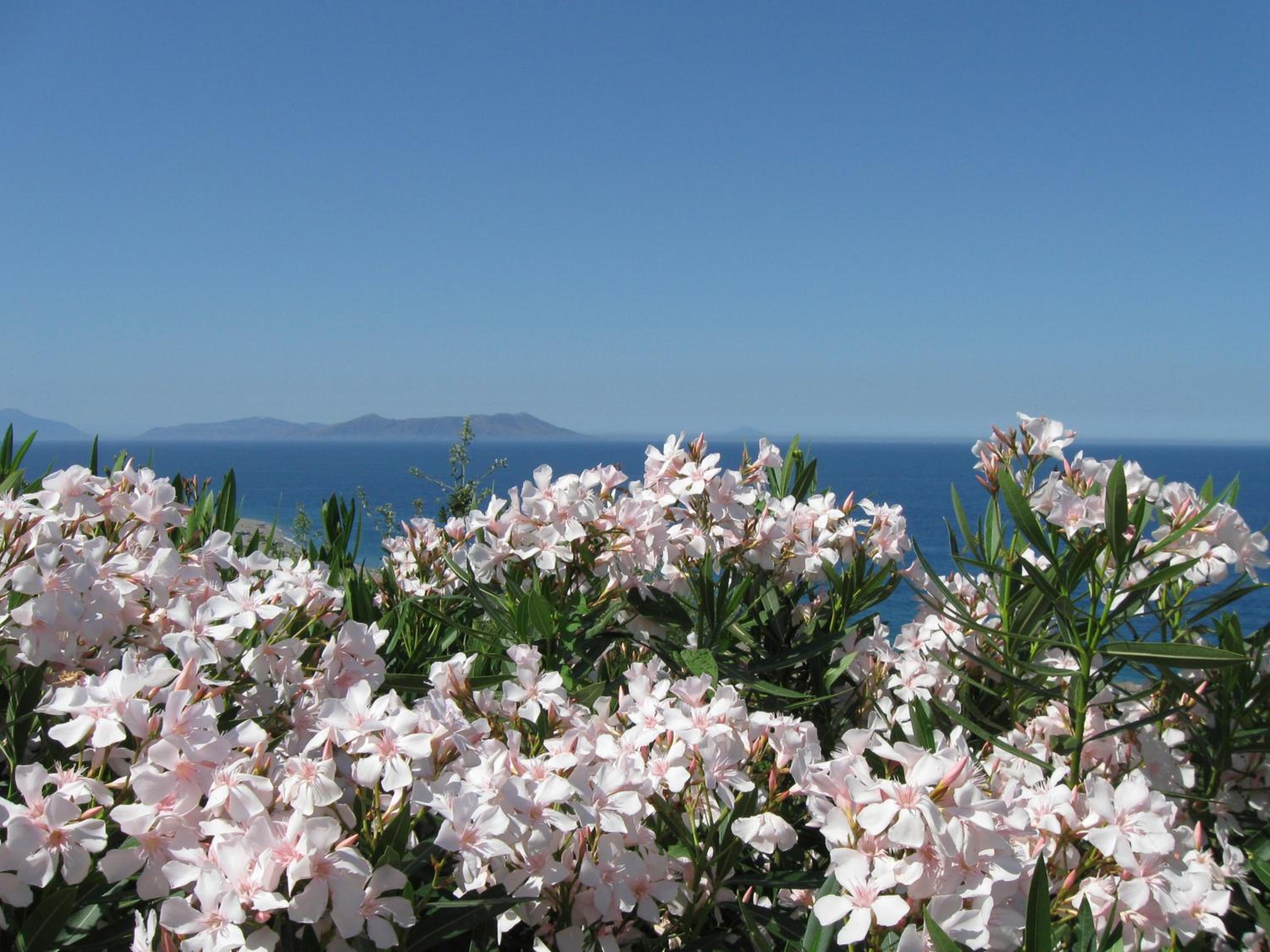 Villa Eoliana view 2