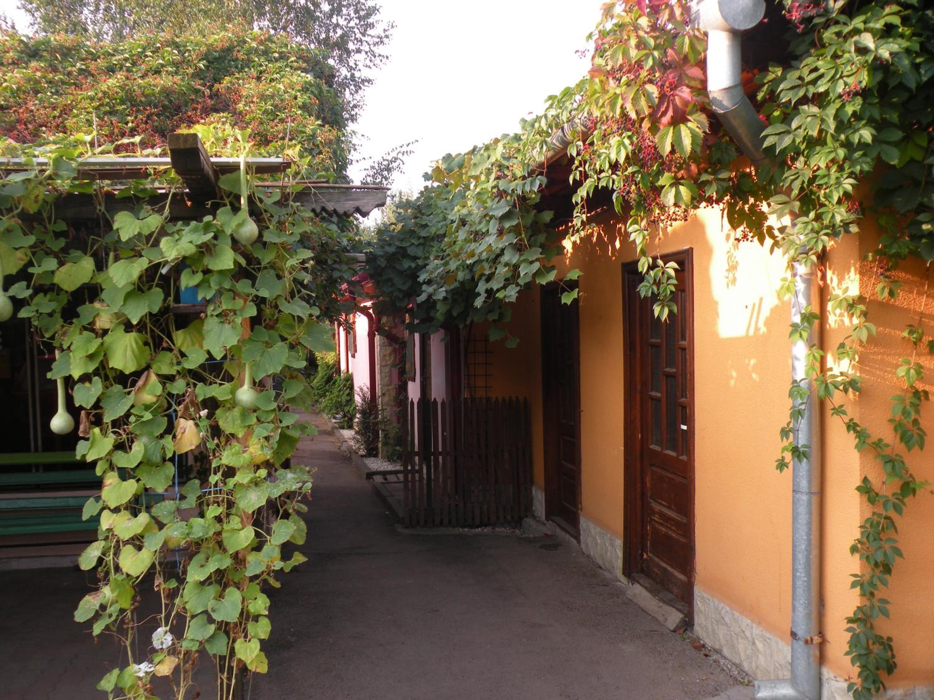 Photo 38