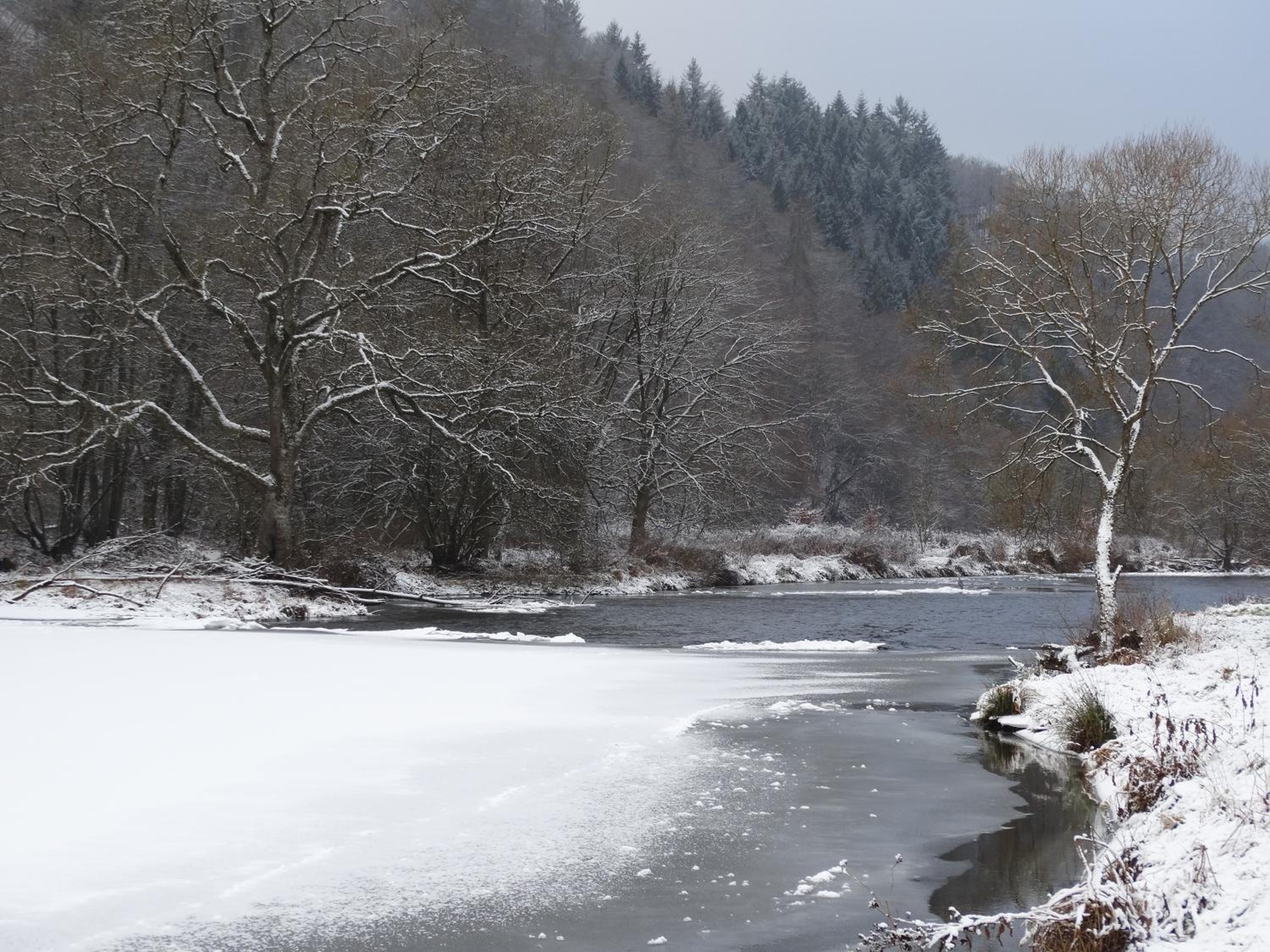 cosy holiday home with sauna near river