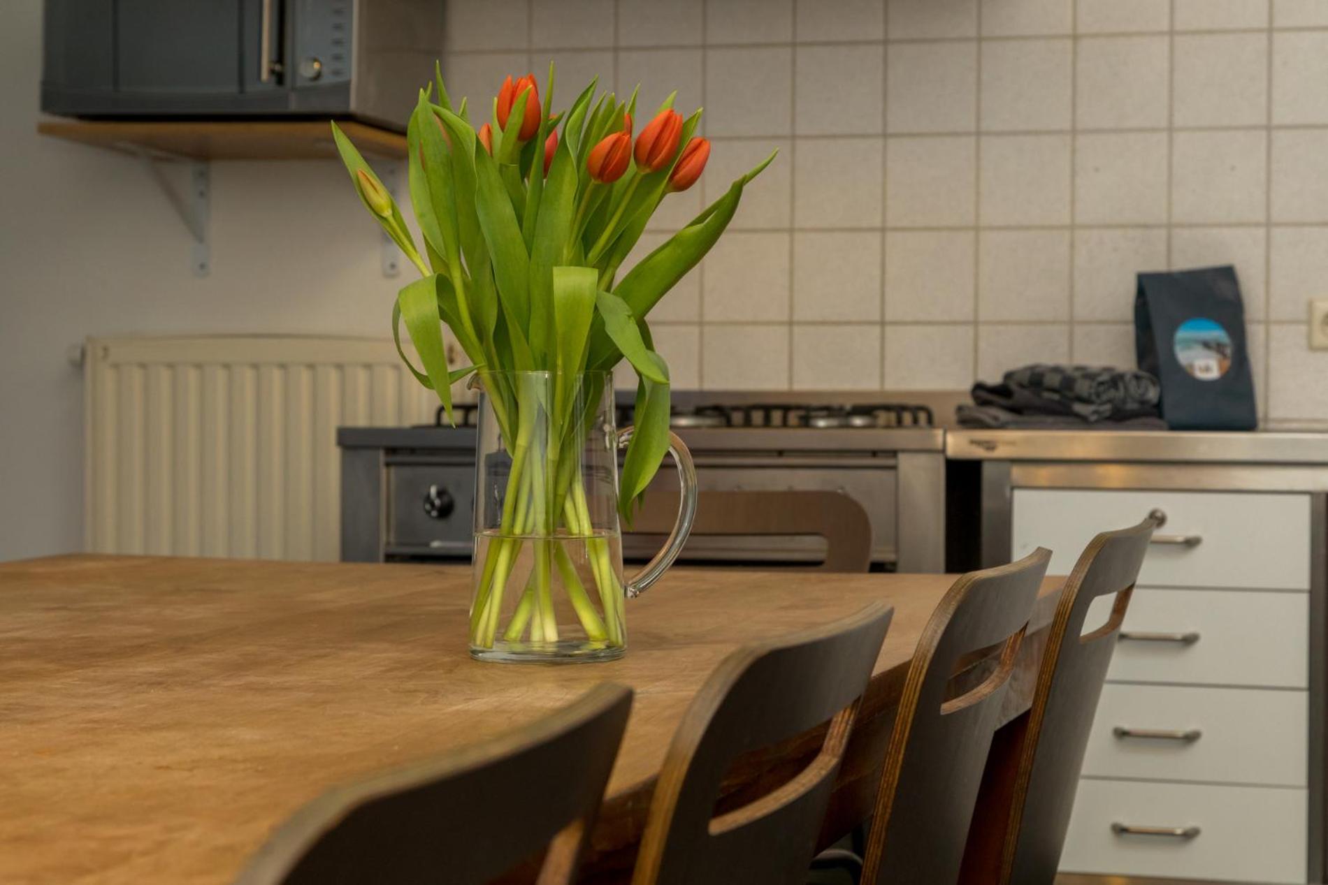 Welcome in - Familiehuis Zonnevylle met speelweide I Duinweg 135 Zoutelande view 5