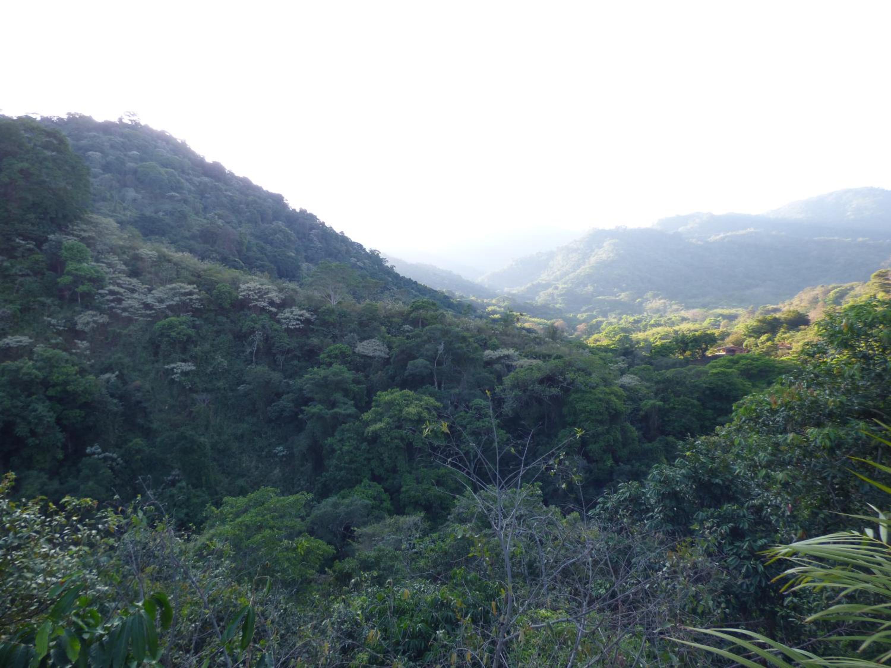 Hostal Alto de la Montaña