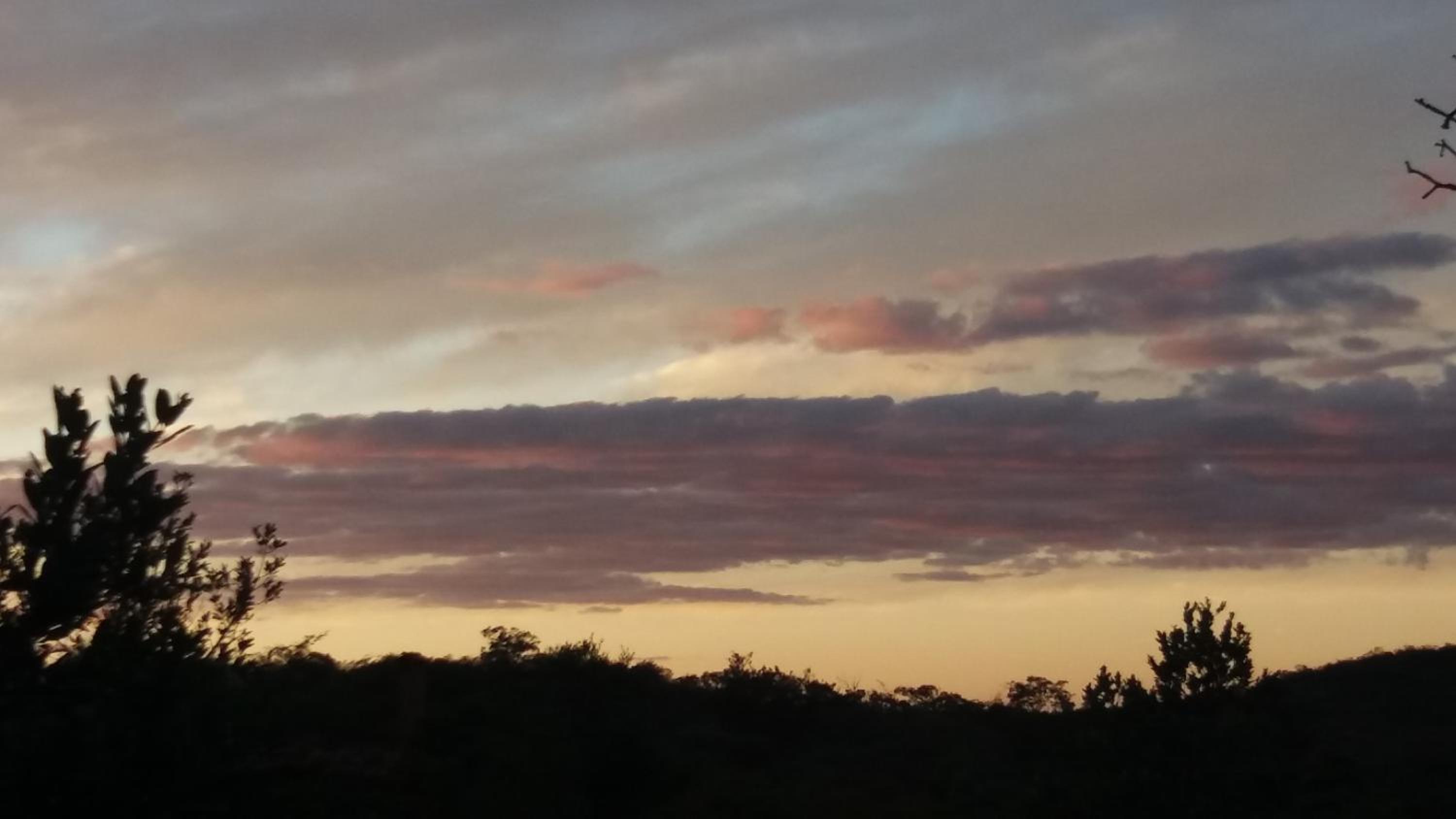 Morada dos Elfos