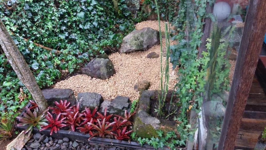 Naturaleza en armonia