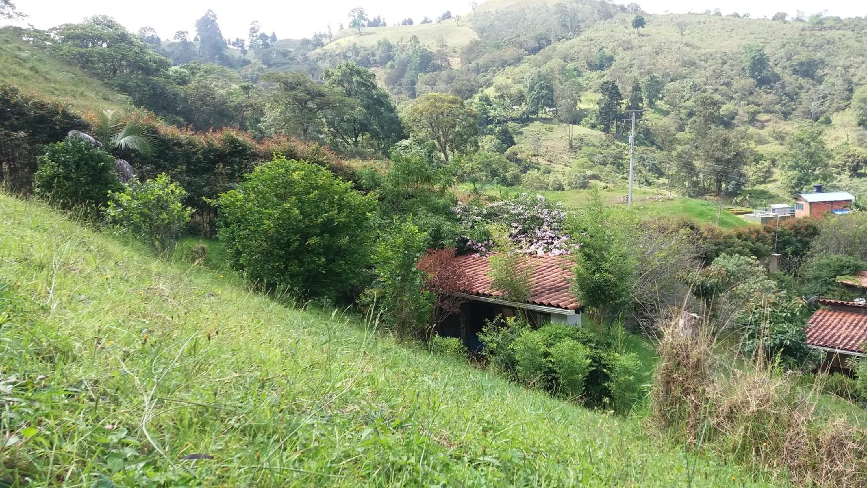 Naturaleza en armonia